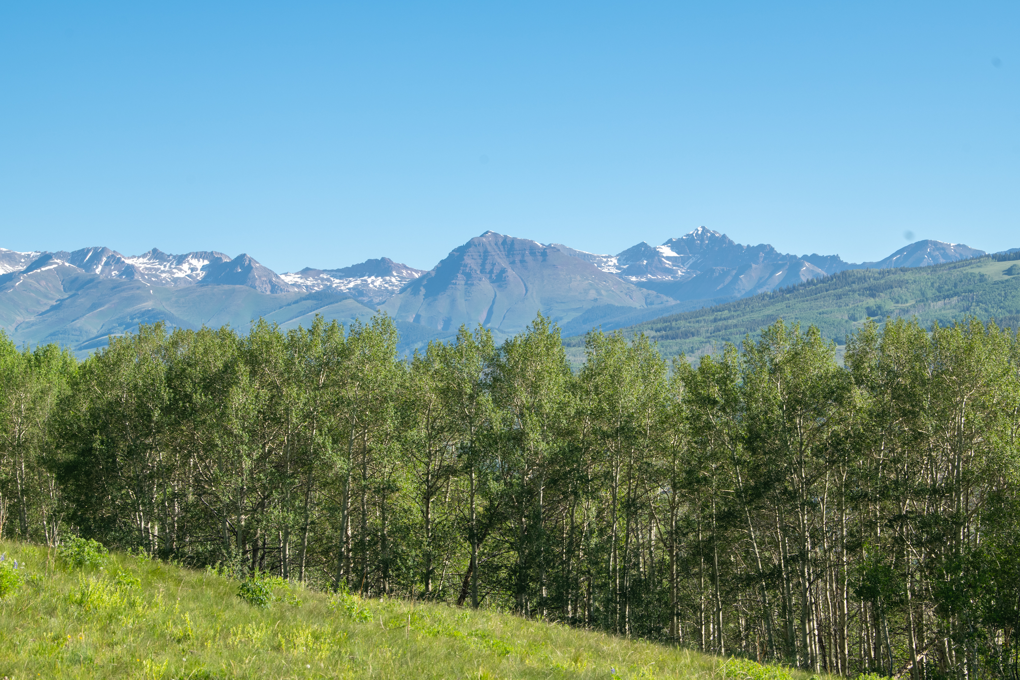  2177 Aspen Mountain Road - 物件實景