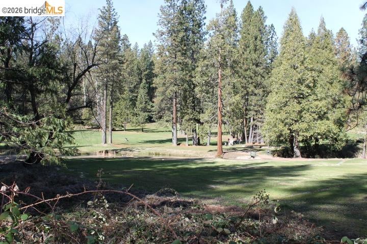 Twain Harte, California, 95383, United States, 4 Bedrooms Bedrooms, ,4 BathroomsBathrooms,Residential,For Sale,2033169