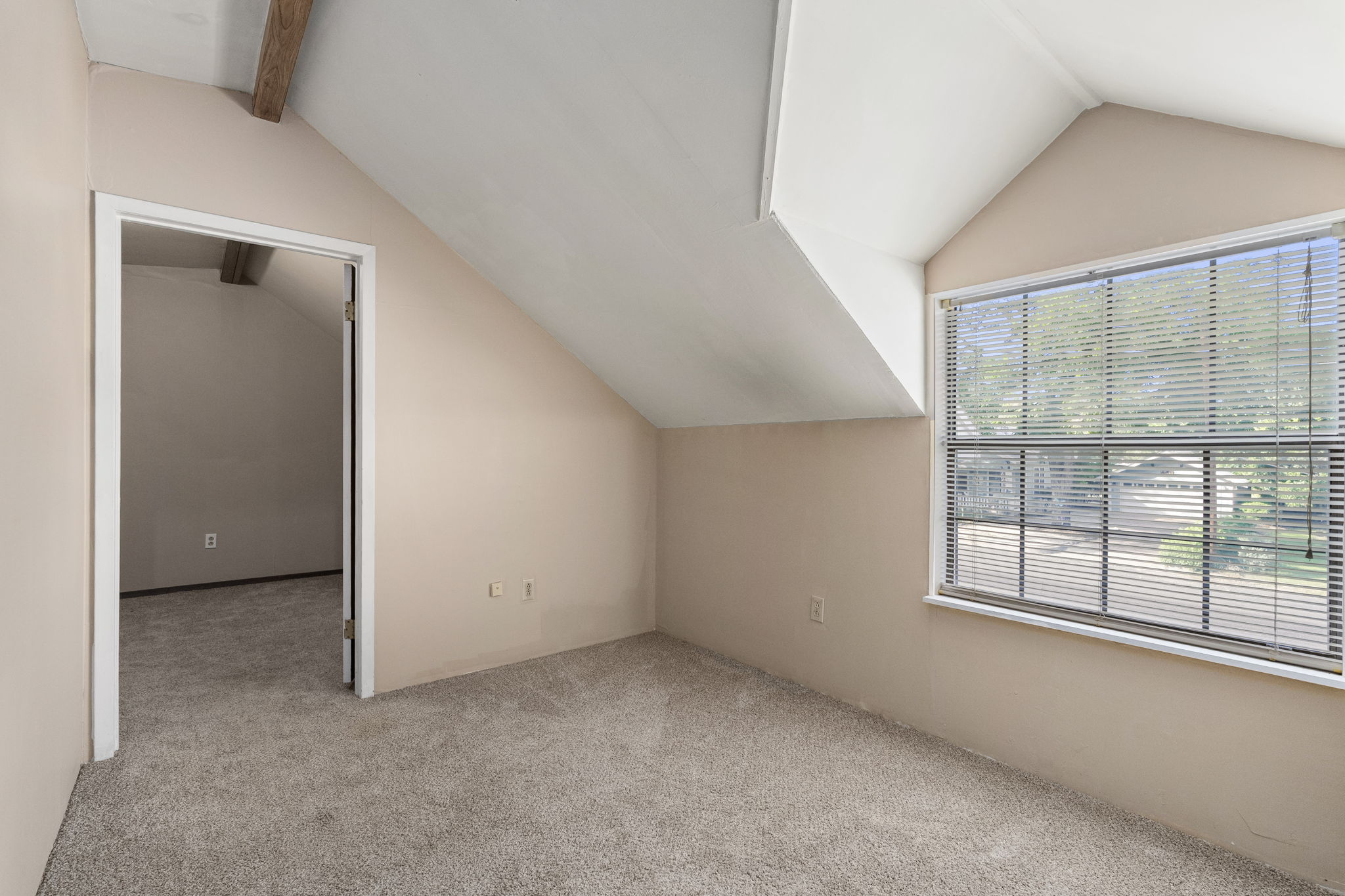  501 West Creek Street, Fredericksburg, TX 78624 - 物件實景