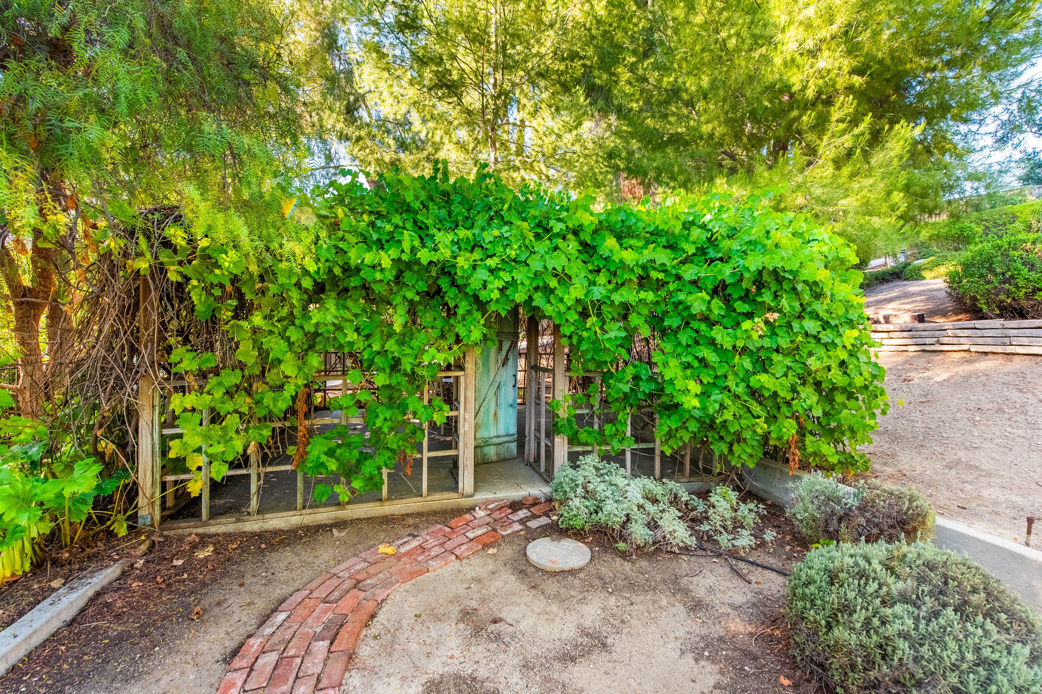  Gated Estate on Nearly 2 Acres - 物件實景