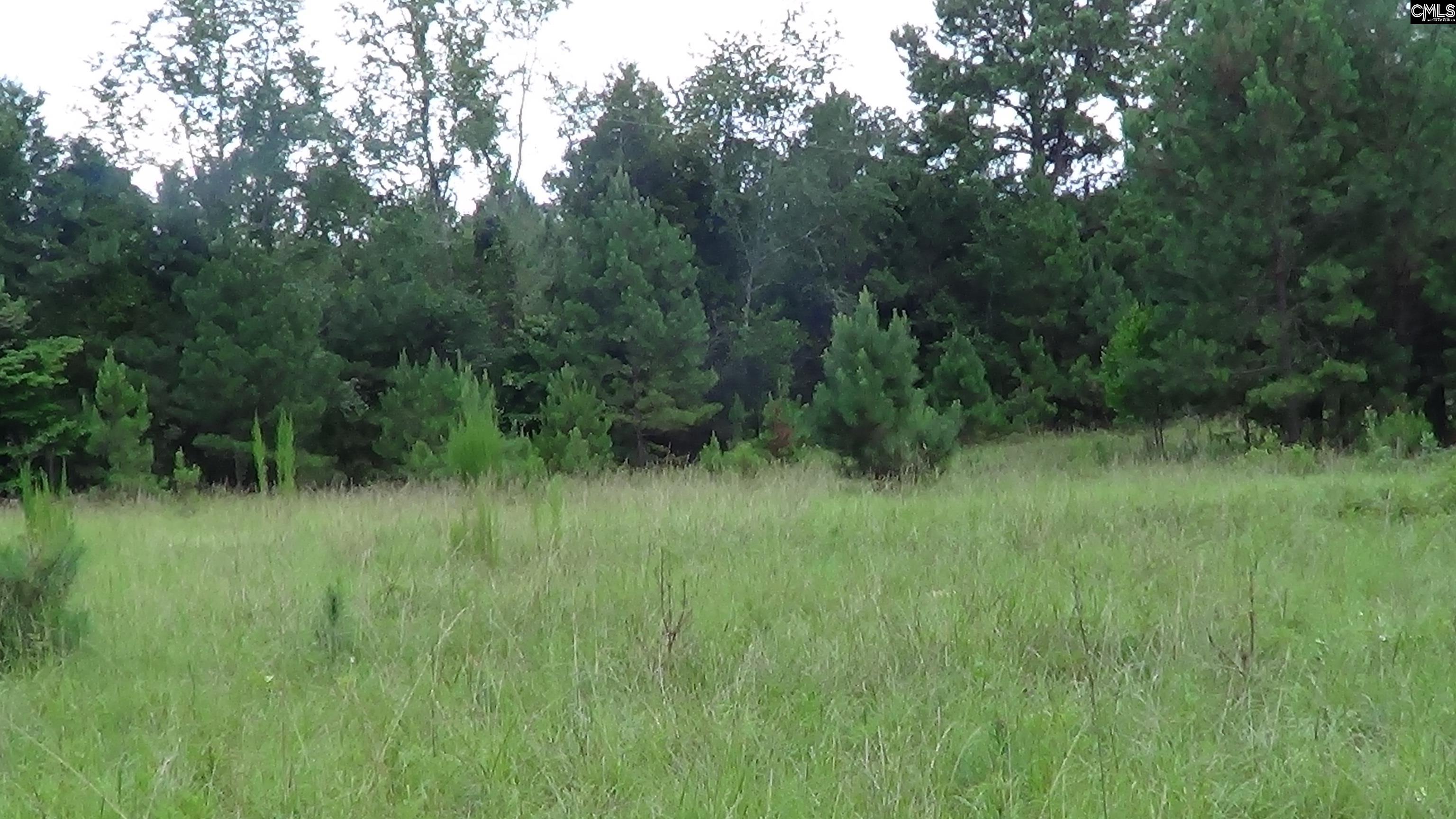 Elgin, South Carolina, 29045, United States, ,Land,For Sale,1891248