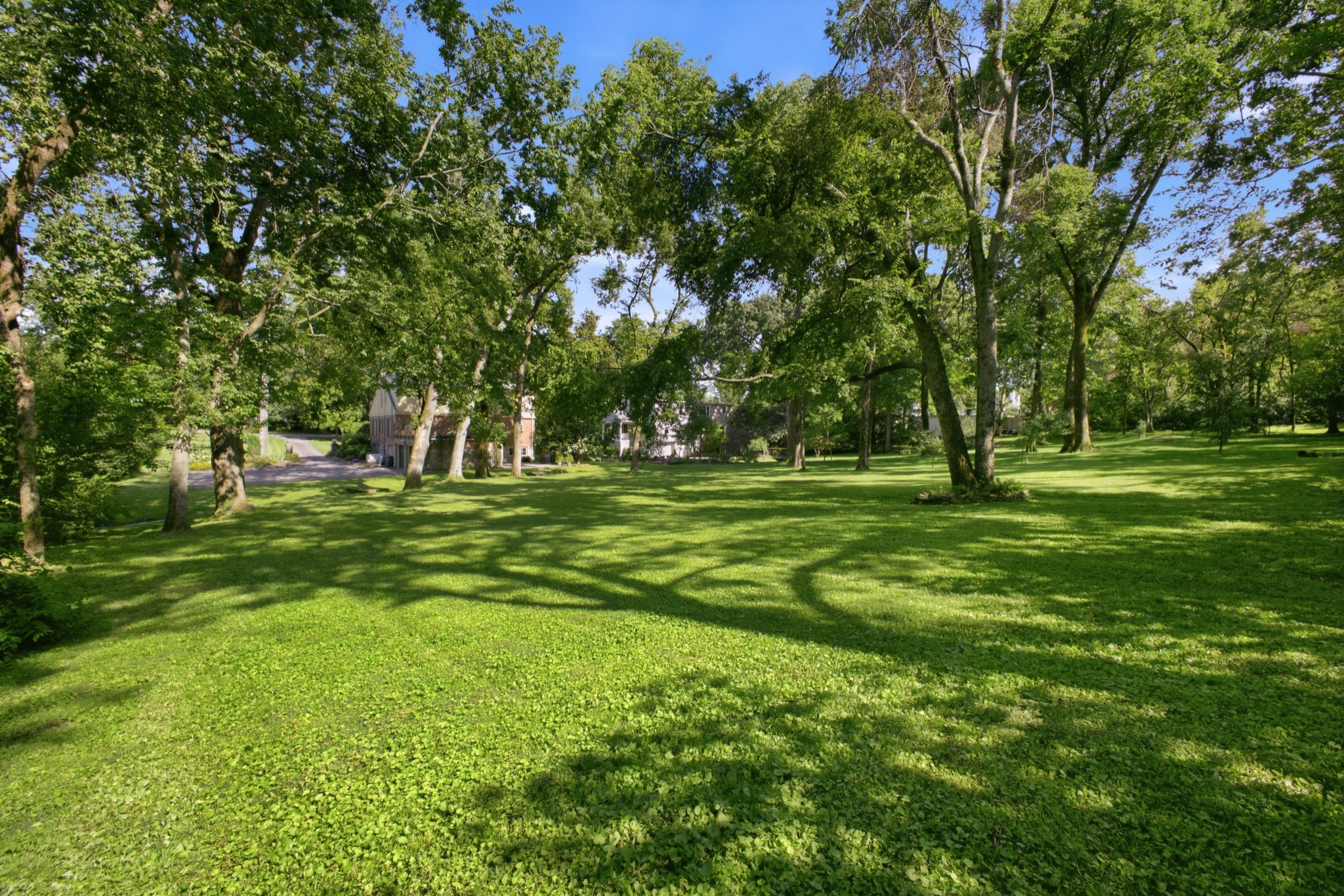  419 Lynnwood Blvd, Nashville, TN, 37205 - 物件實景