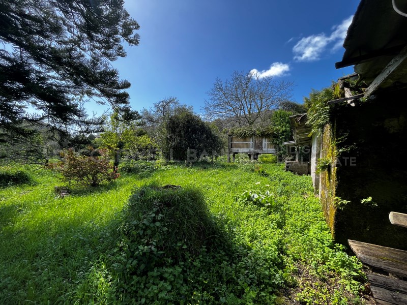 Pontevedra, Moa?a, Moa?a (San Marti?o P. E Virxe d, Moaña, Galicia, ES, 7 Bedrooms Bedrooms, ,2 BathroomsBathrooms,Residential,For Sale,Pontevedra, Moa?a, Moa?a (San Marti?o P. E Virxe d,1623275