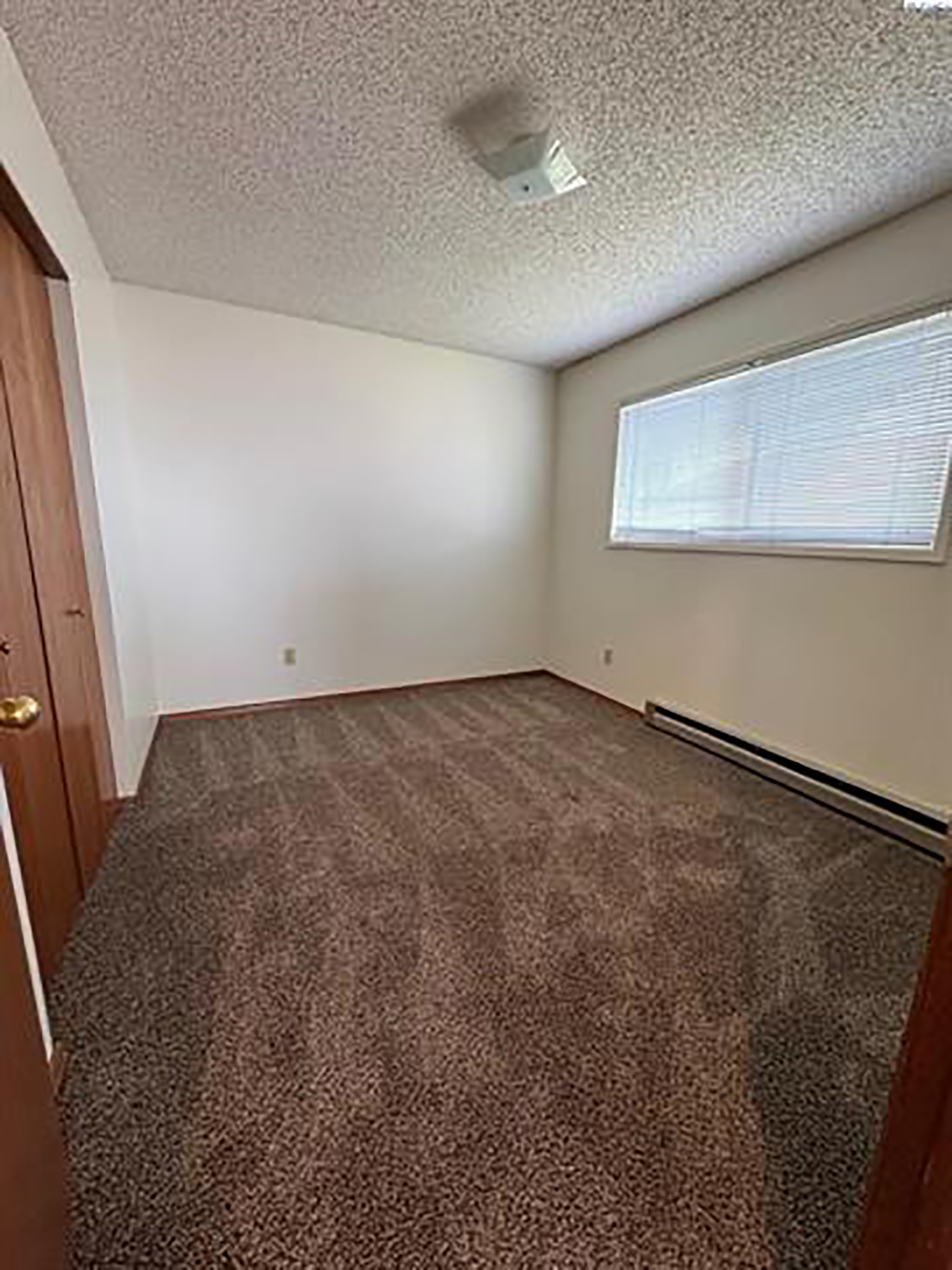  New Paint And New Flooring - 物件實景