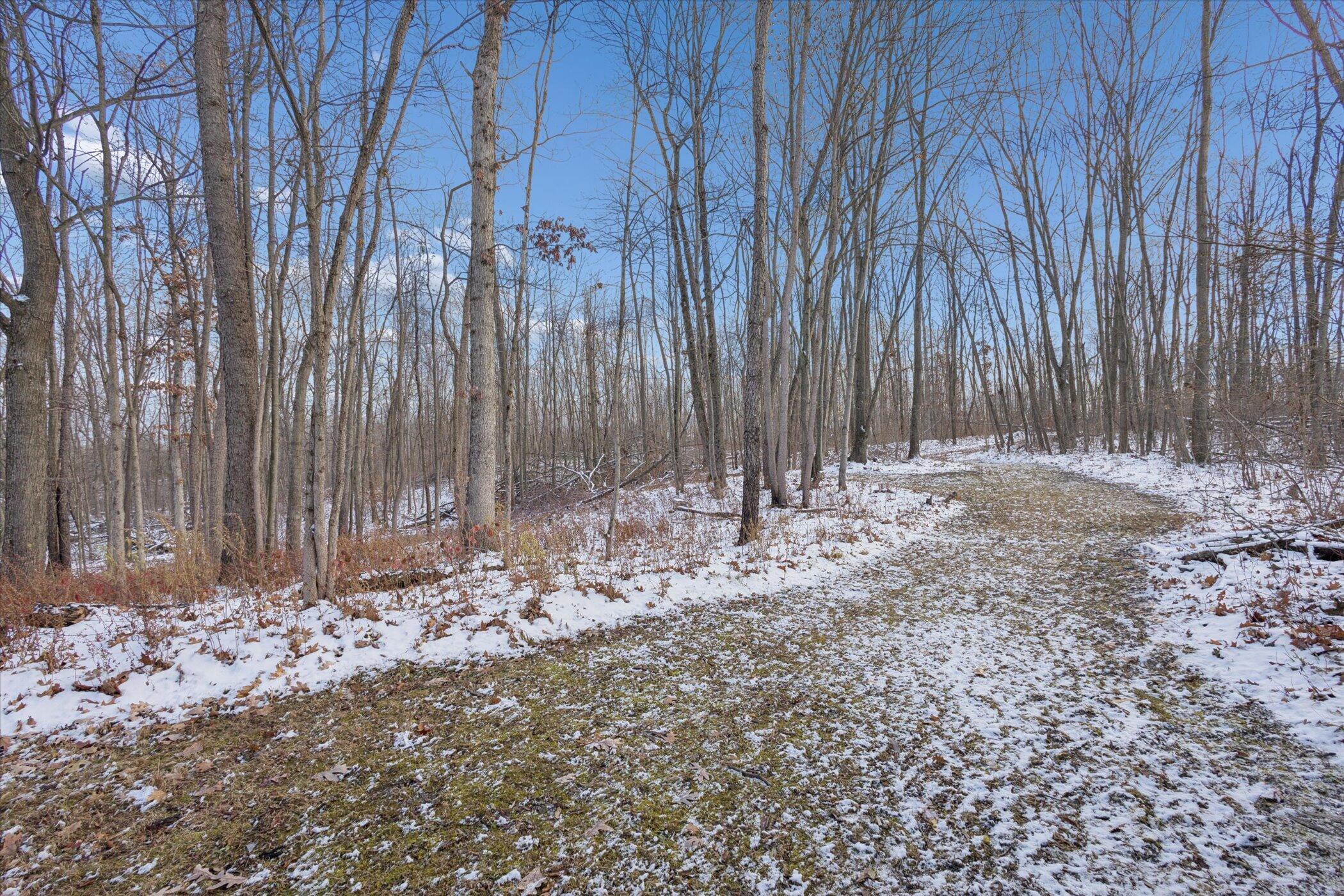 Addison, Michigan, 49220, United States, 4 Bedrooms Bedrooms, ,2 BathroomsBathrooms,Residential,For Sale,2000711