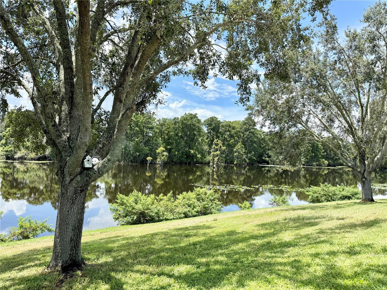 Temple Terrace, Florida, 33637, United States, 3 Bedrooms Bedrooms, ,4 BathroomsBathrooms,Residential,For Sale,1982268