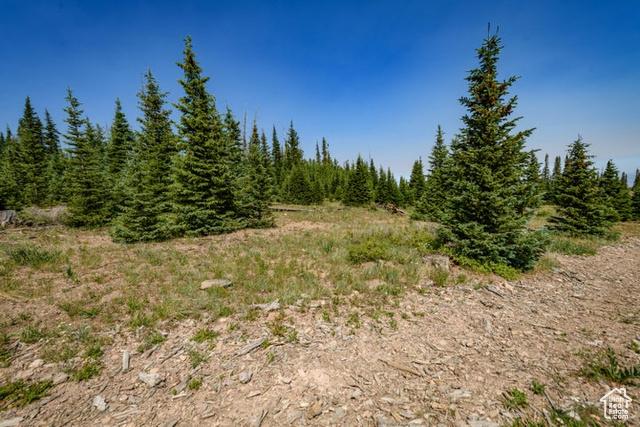 Brian Head, Utah, 84719, United States, ,Residential,For Sale,1915846
