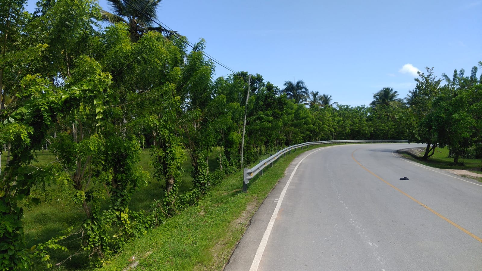 Las Terrenas, DO, ,Land,For Sale,1620981