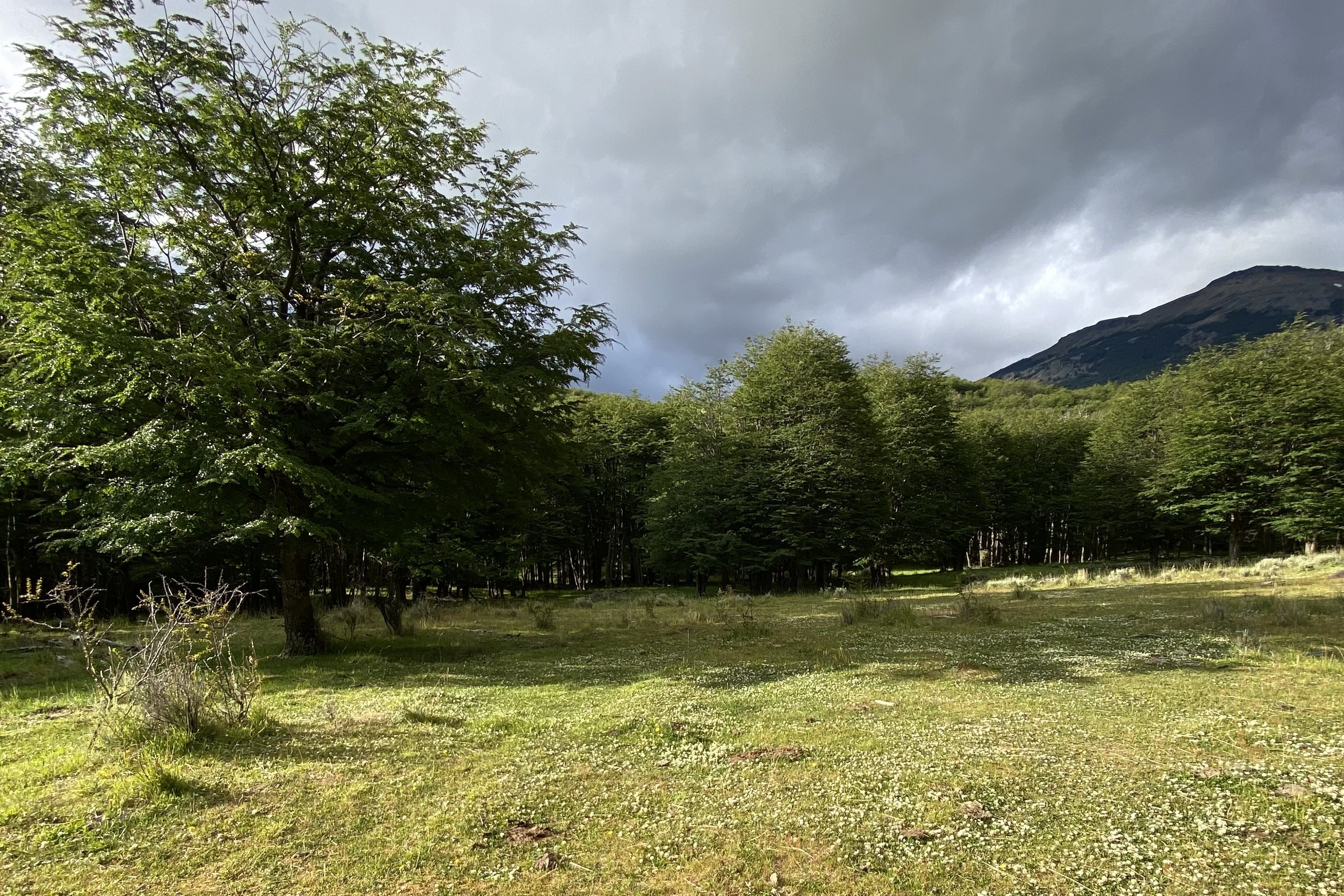  50-Hectare Property Adjacent to Cerro Castillo with 1.3 km of Waterfront - 物件實景
