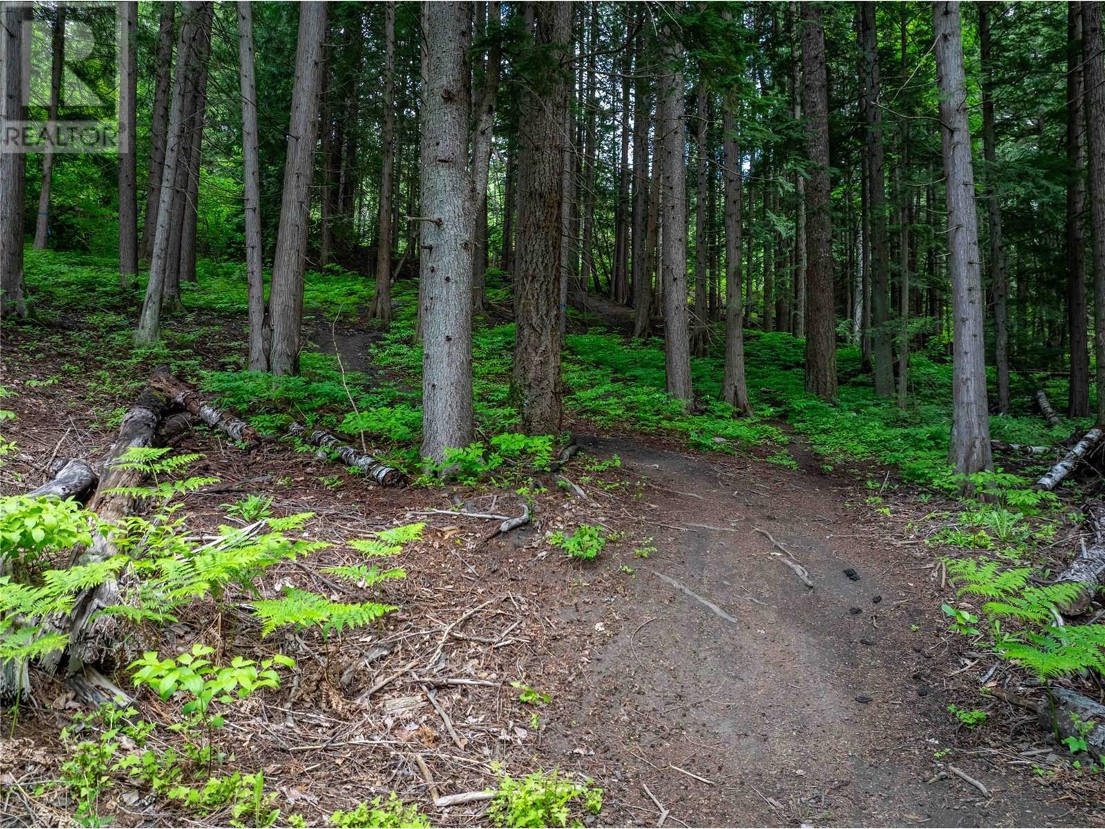 REVELSTOKE, British Columbia, V0E 2S0, CA, ,Residential,For Sale,1838541