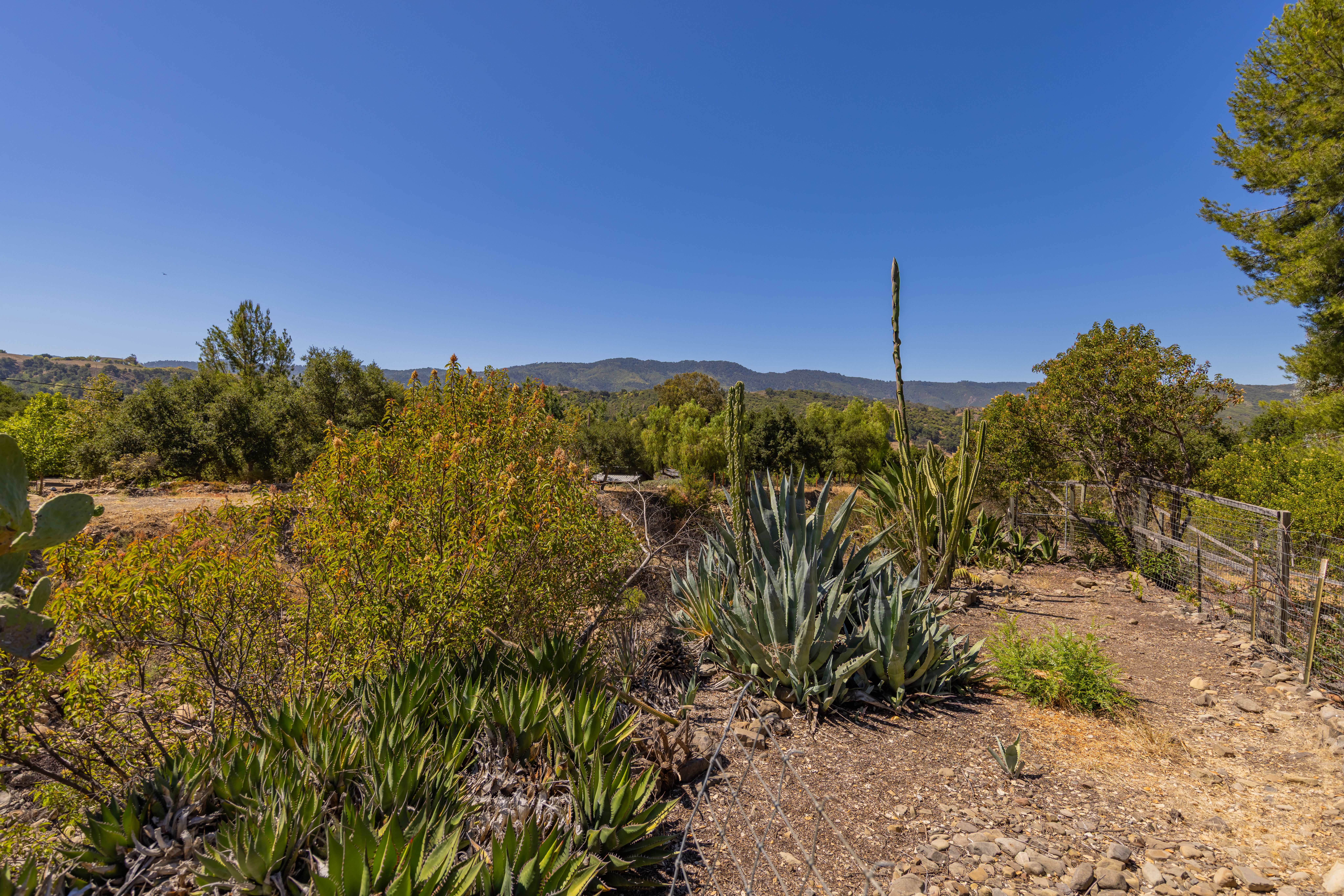  4210 Grand Avenue, Ojai, CA 93023 - 物件實景