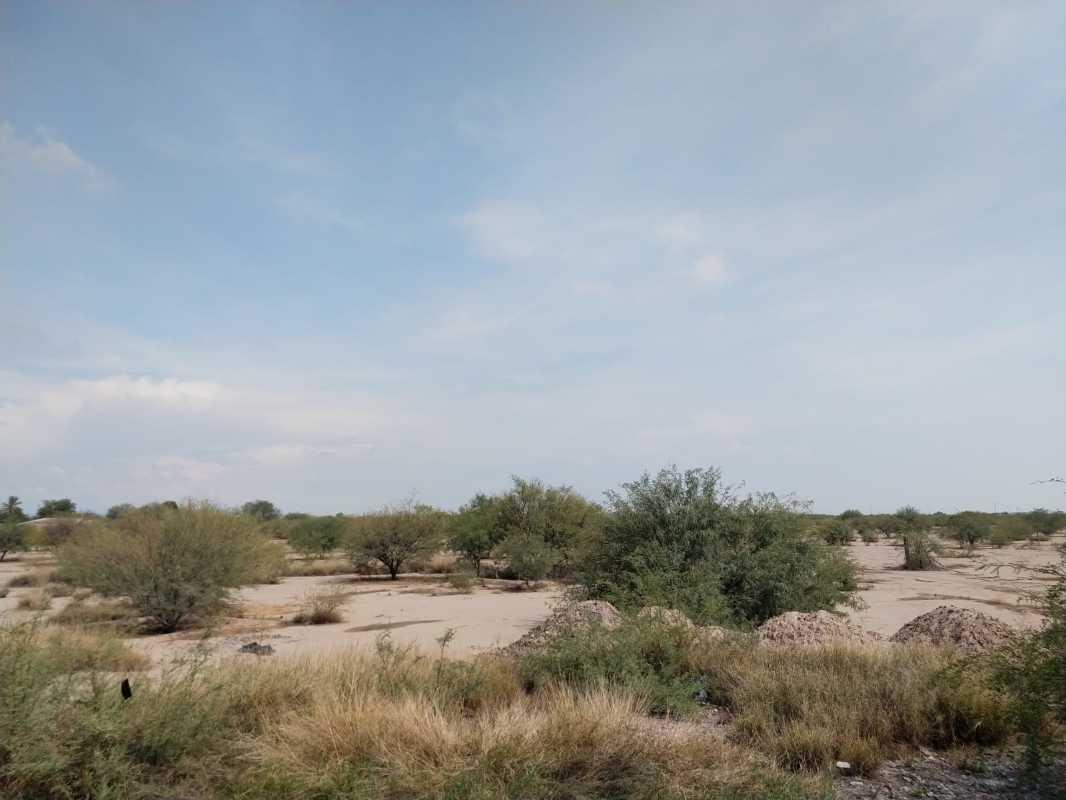 CARRETERA TORREON - SAN PEDRO, Torreón, Coahuila de Zaragoza, 27416, Mexico, 1 Bedroom Bedrooms, ,Residential,For Sale,CARRETERA TORREON - SAN PEDRO,1143920