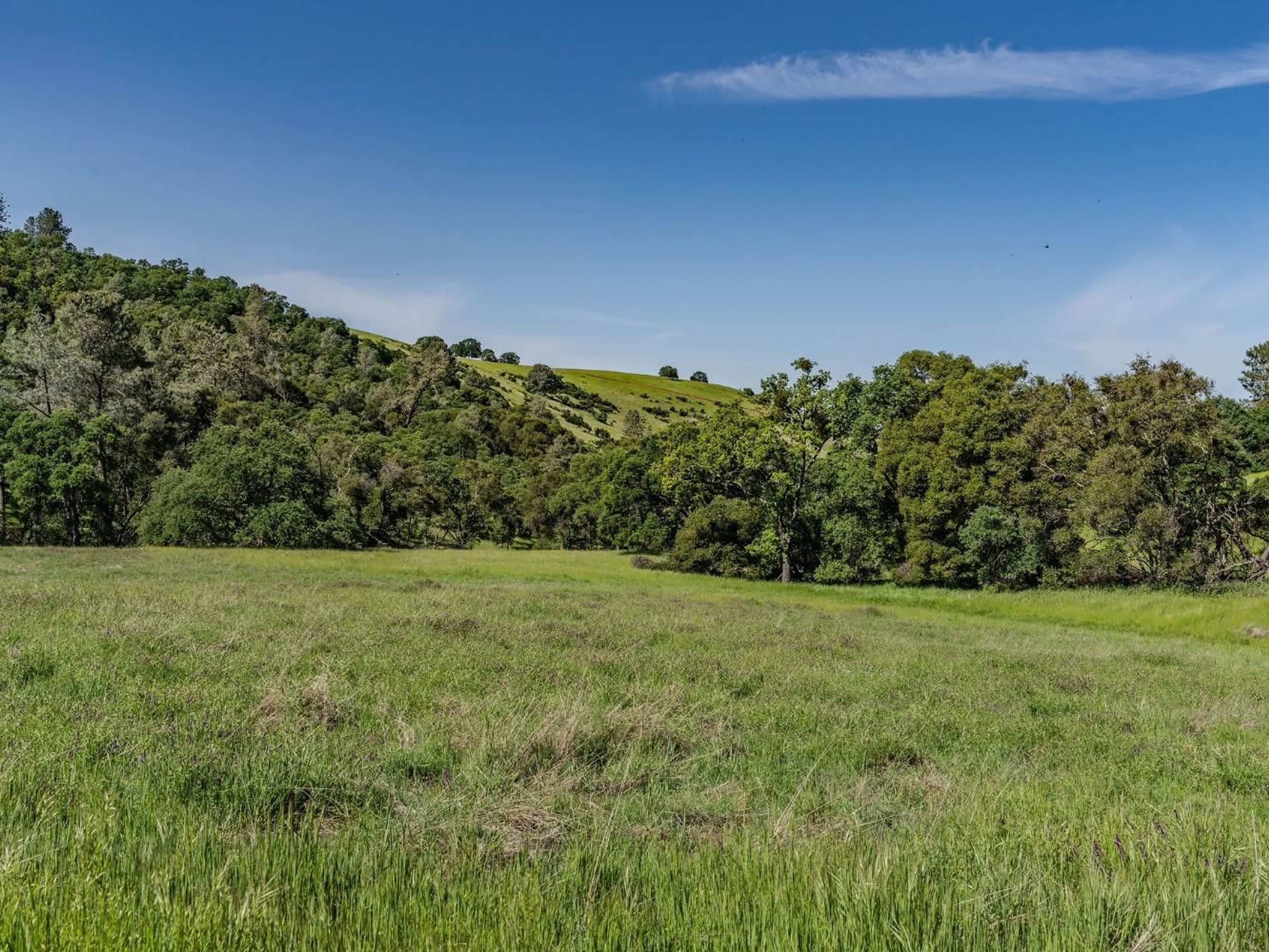  10865 Sunset Drive, Sutter Creek, CA 95685 - 物件實景