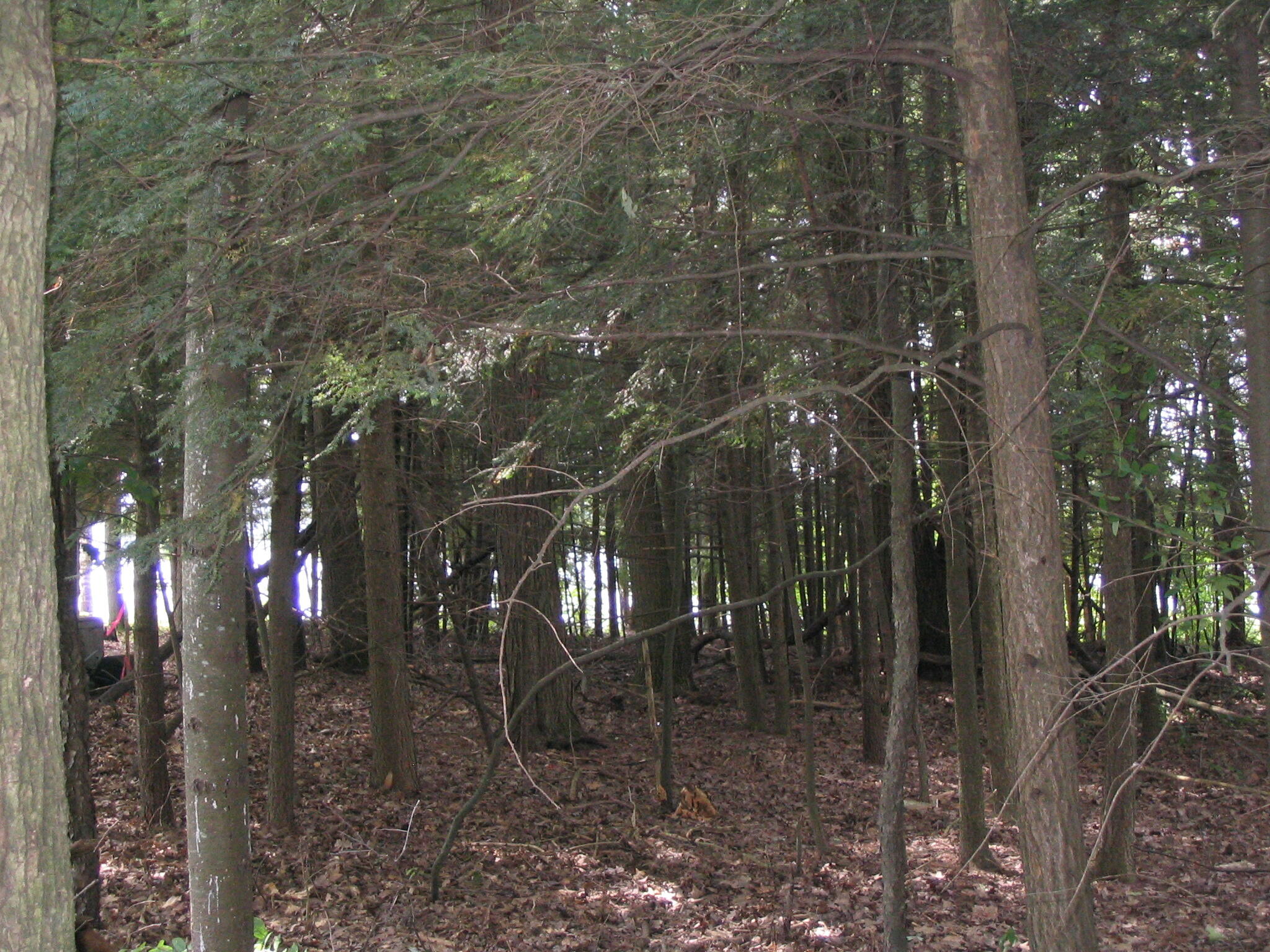 Grayling, Michigan, 49738, United States, ,Residential,For Sale,1845615