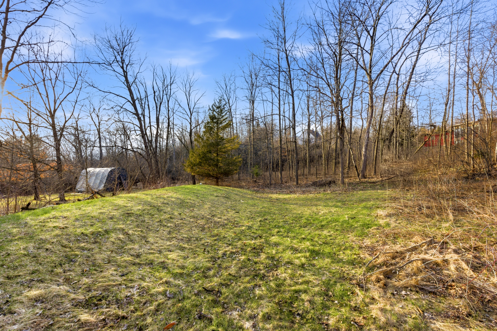  Unique Mid-Century Modern Retreat in a Private Wooded Setting - 物件實景