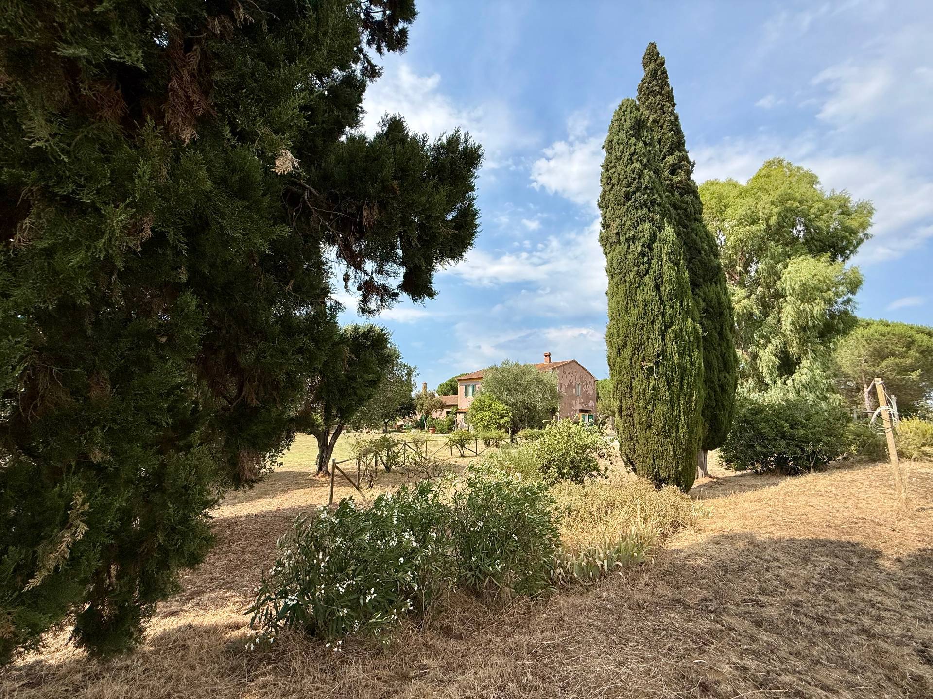 Magliano in Toscana, Grosseto, 58051, IT, 5 Bedrooms Bedrooms, ,3 BathroomsBathrooms,Residential,For Sale,1885318