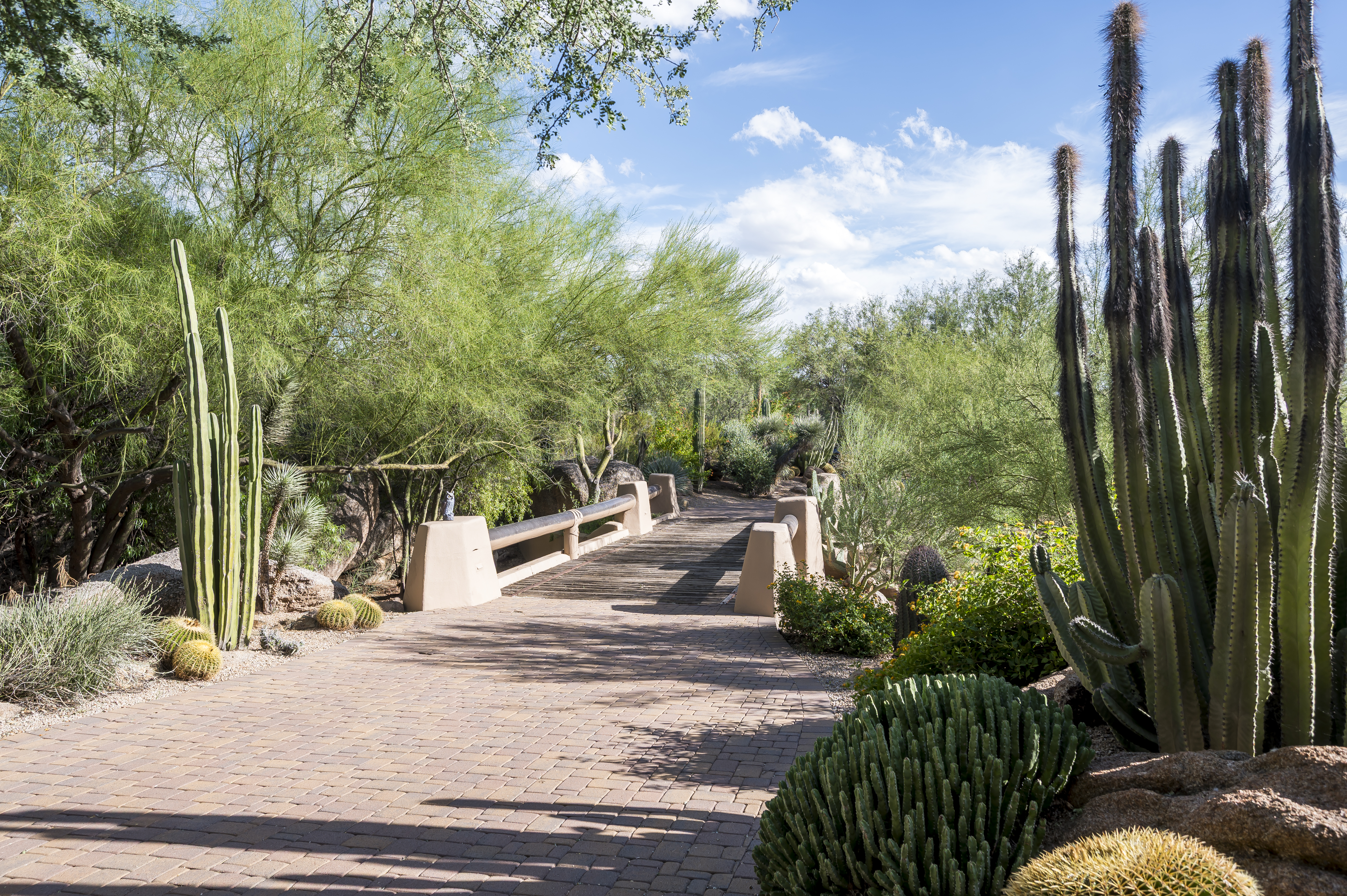  7416 E Arroyo Hondo Road¦Scottsdale, AZ - 物件實景