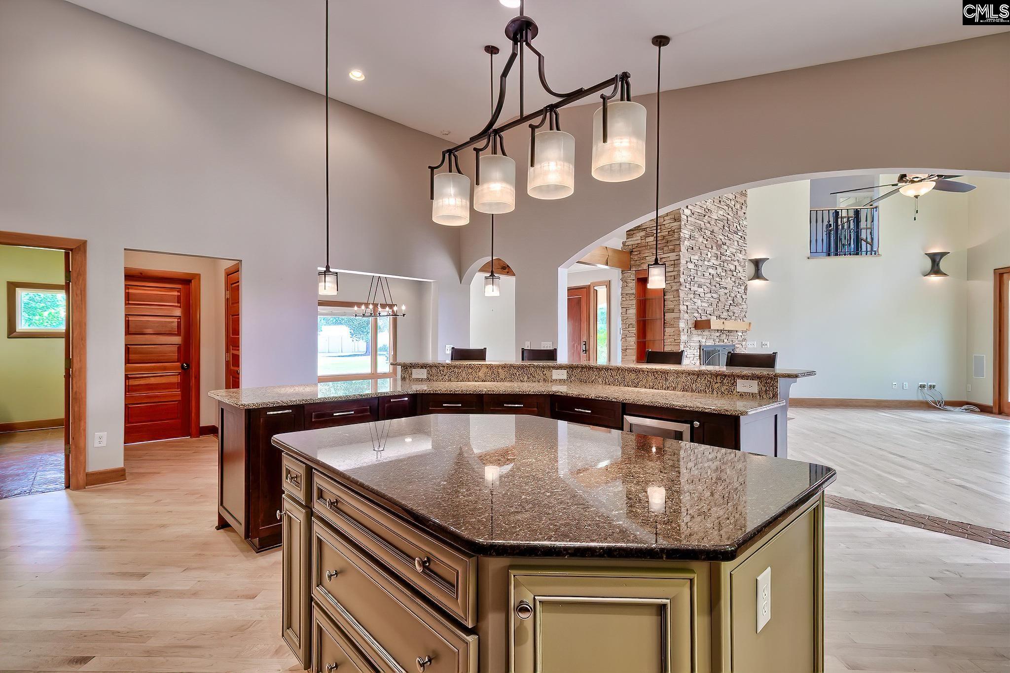 Chapin, South Carolina, 29036, United States, 5 Bedrooms Bedrooms, ,6 BathroomsBathrooms,Residential,For Sale,1910918