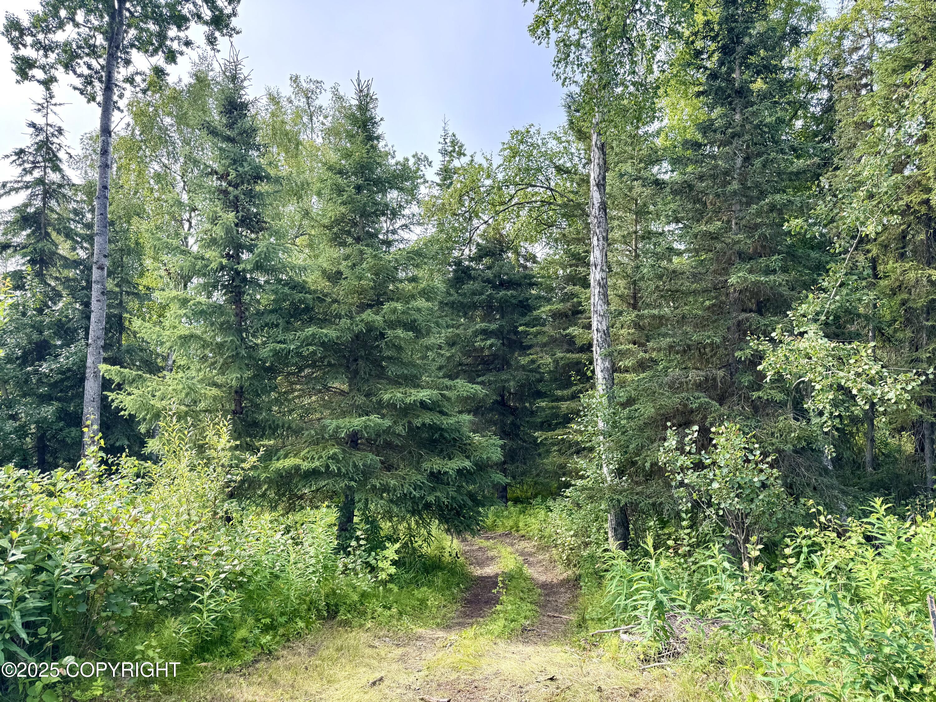 Soldotna, Alaska, 99669, United States, 4 Bedrooms Bedrooms, ,2 BathroomsBathrooms,Residential,For Sale,1928877