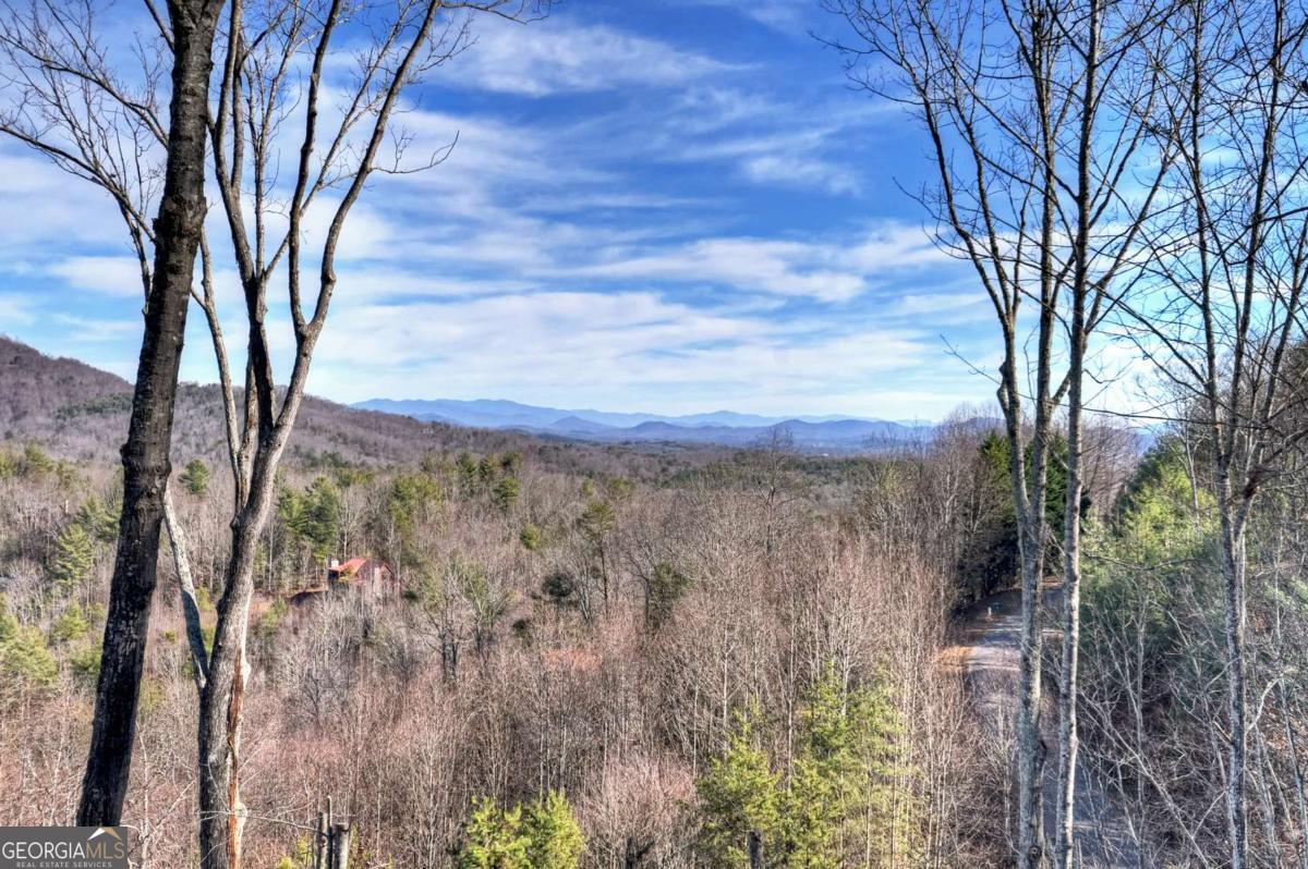 Mineral Bluff, Georgia, 30559, United States, 4 Bedrooms Bedrooms, ,4 BathroomsBathrooms,Residential,For Sale,2011407