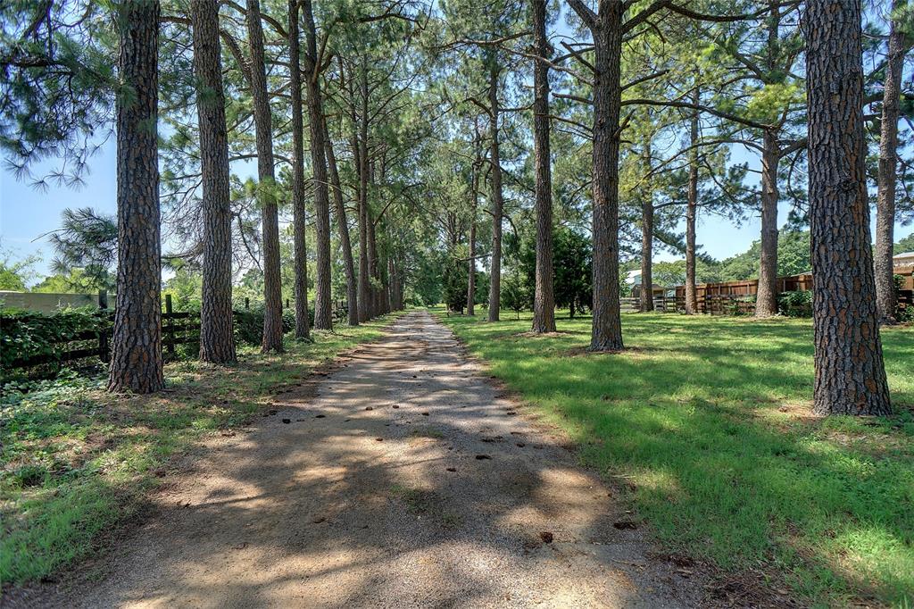 2929 SE Sagebrush Drive, Flower Mound, Texas, 75022, United States, ,Residential,For Sale,2929 SE Sagebrush Drive,1421725