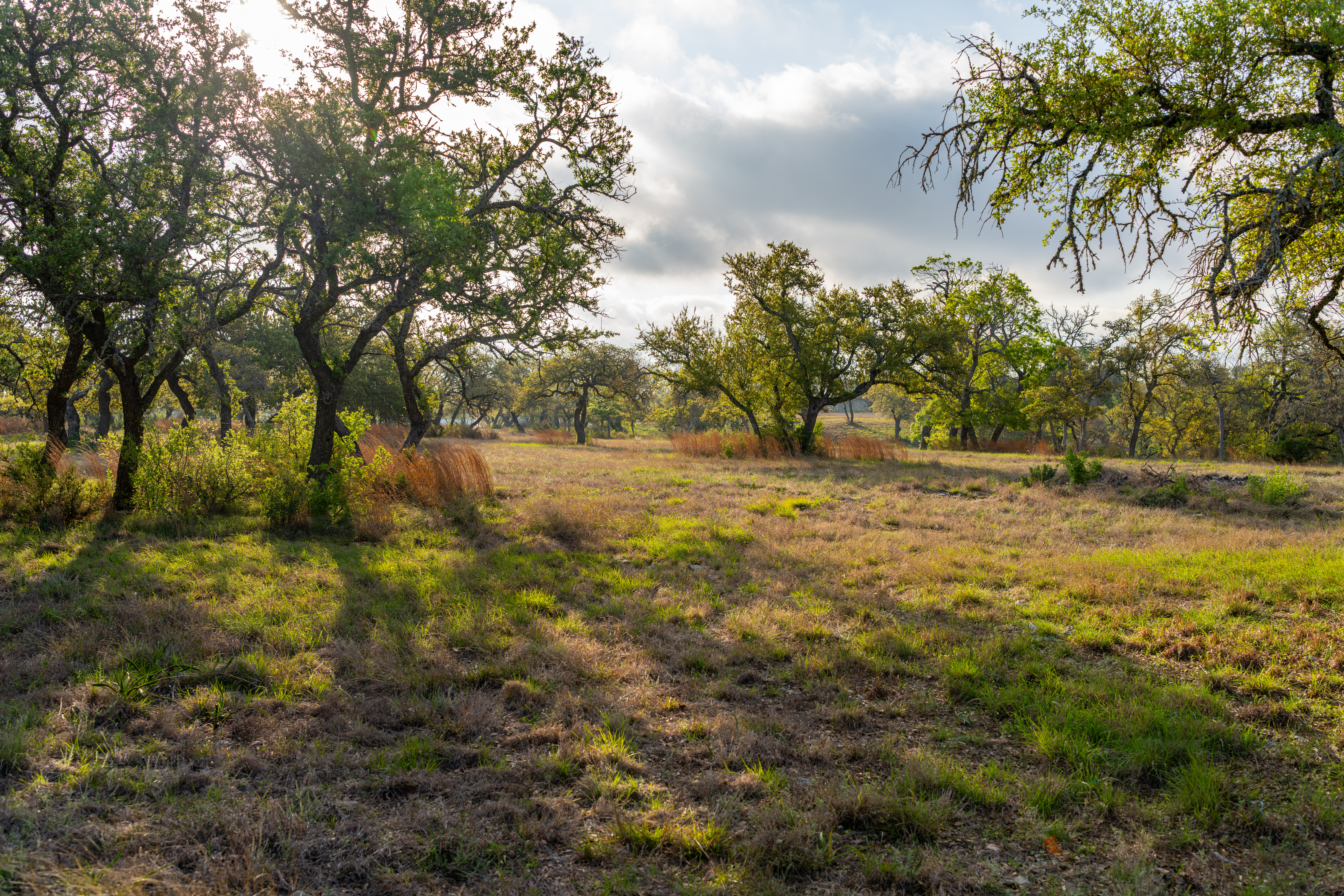  French Country Elegance in the Texas Hill Country - 物件實景