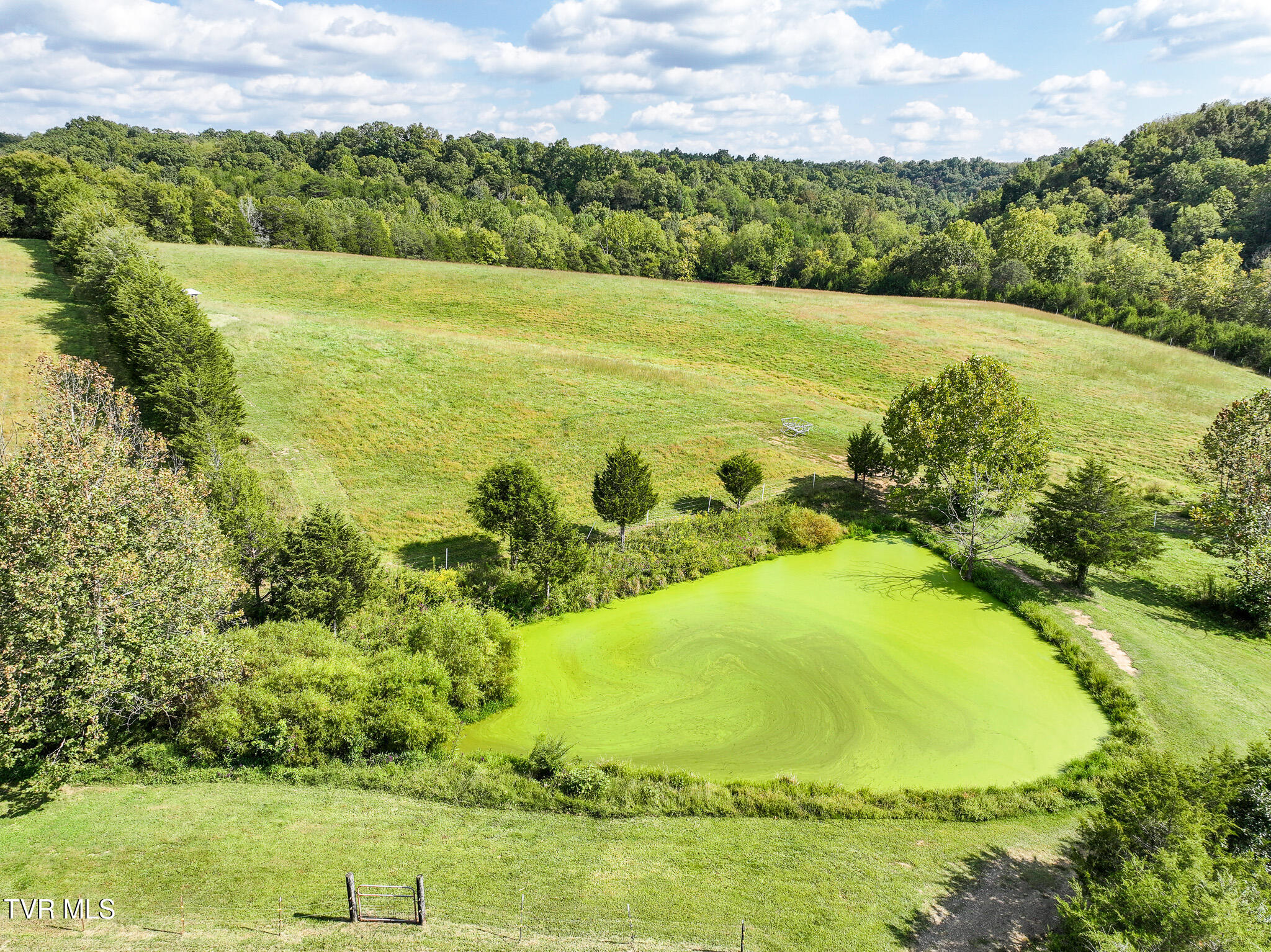 Greeneville, Tennessee, 37745, United States, 3 Bedrooms Bedrooms, ,3 BathroomsBathrooms,Residential,For Sale,2039547