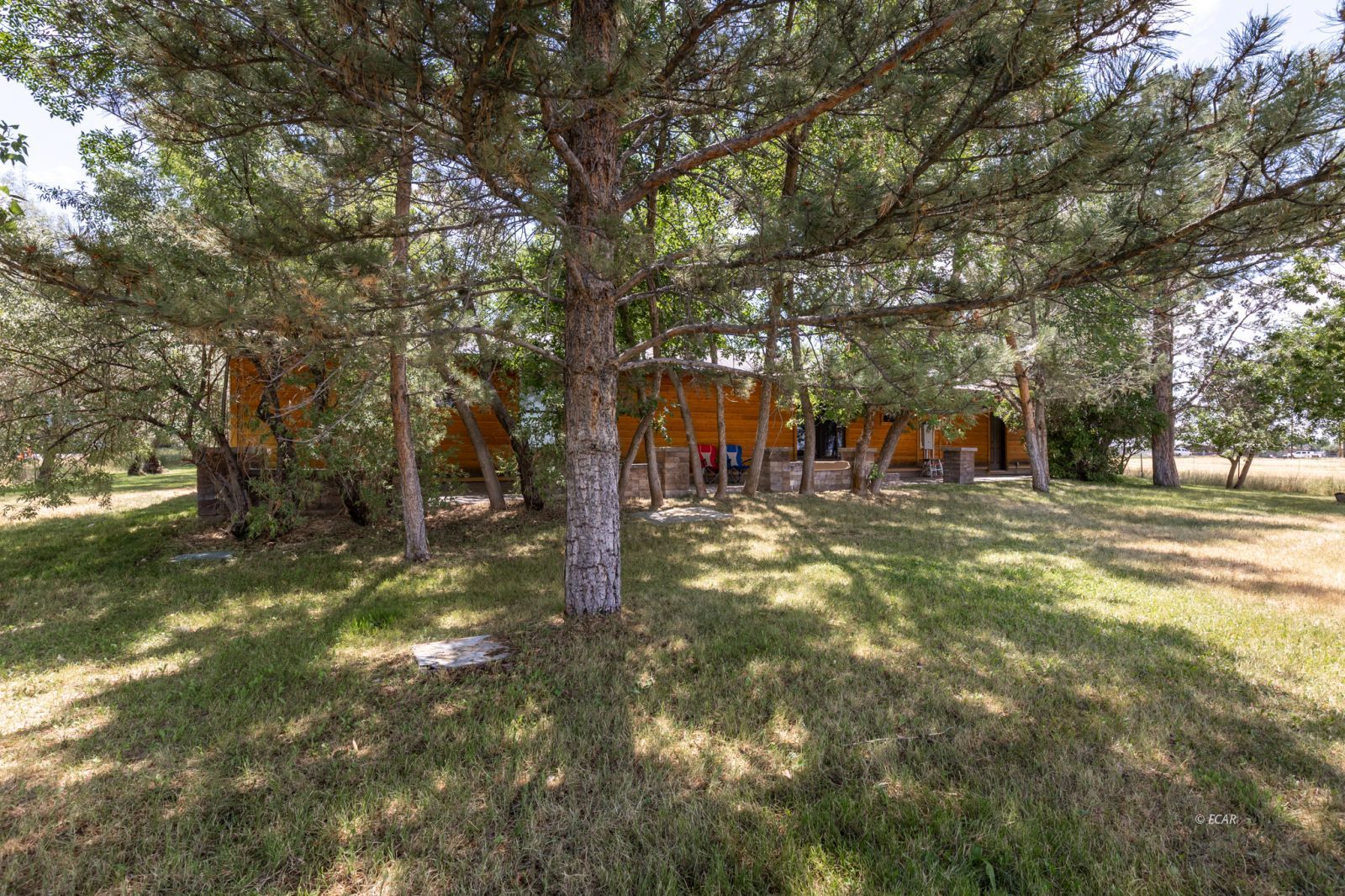 Lamoille, Nevada, 89828, United States, 4 Bedrooms Bedrooms, ,2 BathroomsBathrooms,Residential,For Sale,1897372