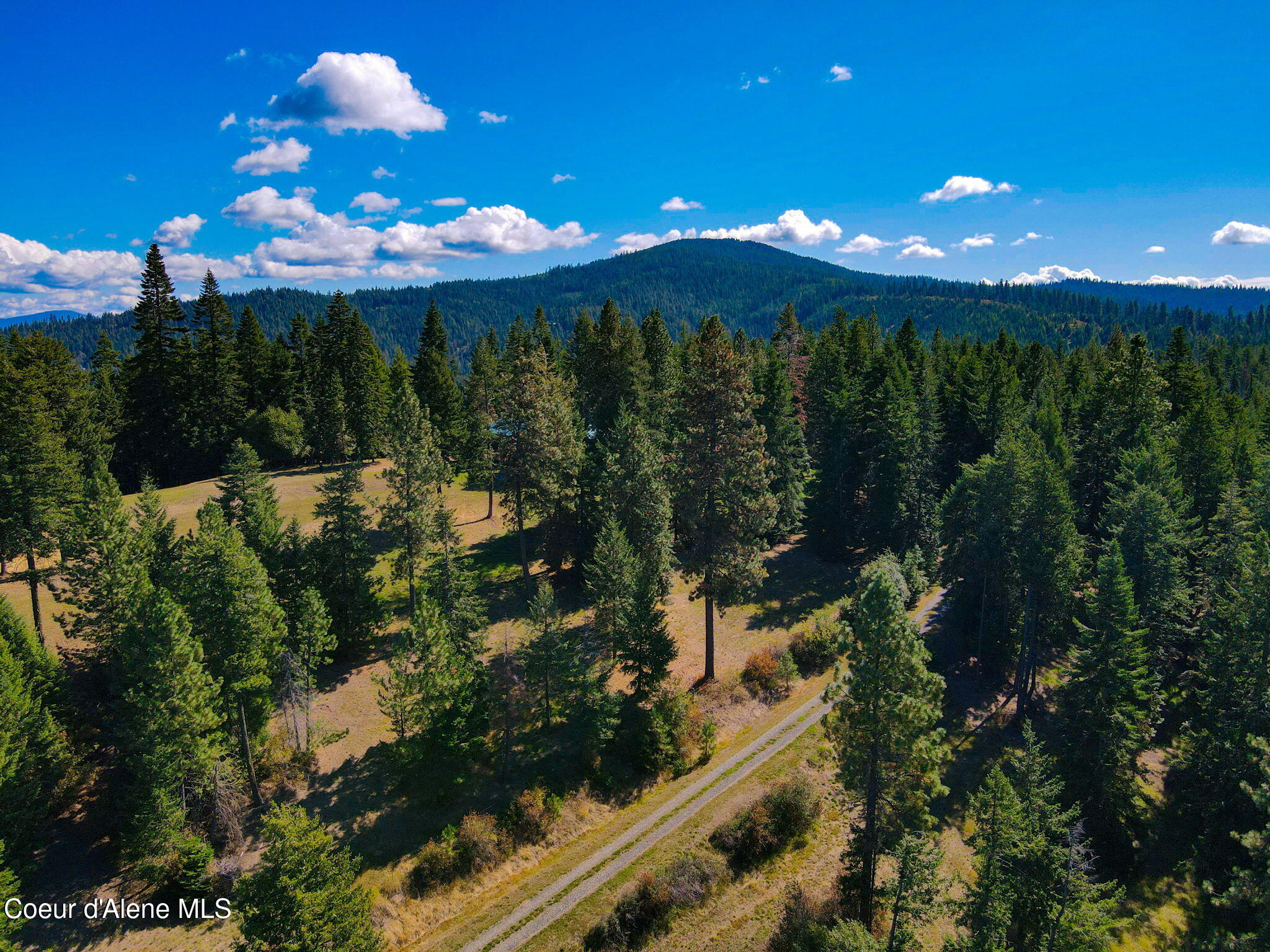 Harrison, Idaho, 83833, United States, ,1 BathroomBathrooms,Residential,For Sale,1765593