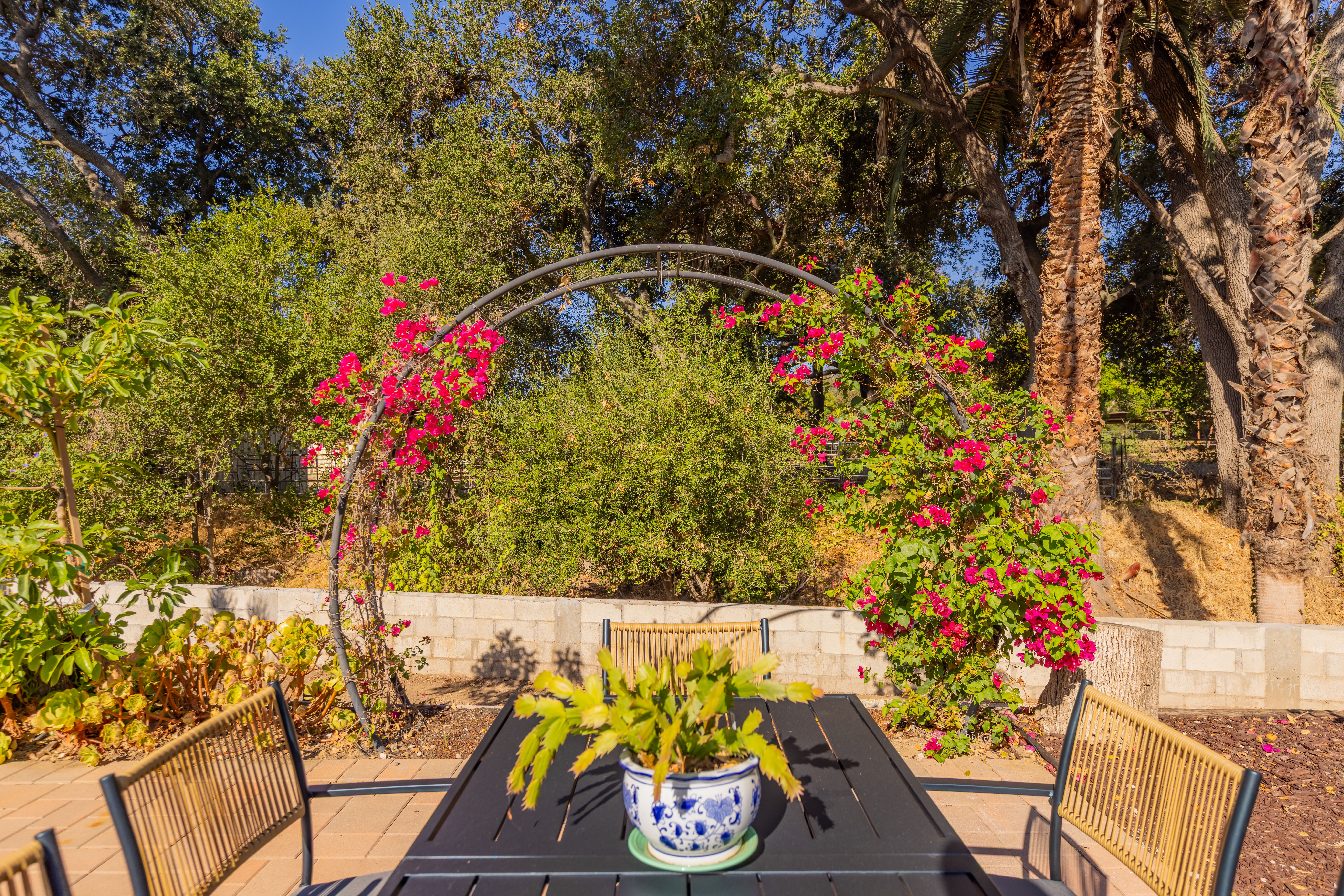  711 Drown Avenue, Ojai, CA 93023 - 物件實景