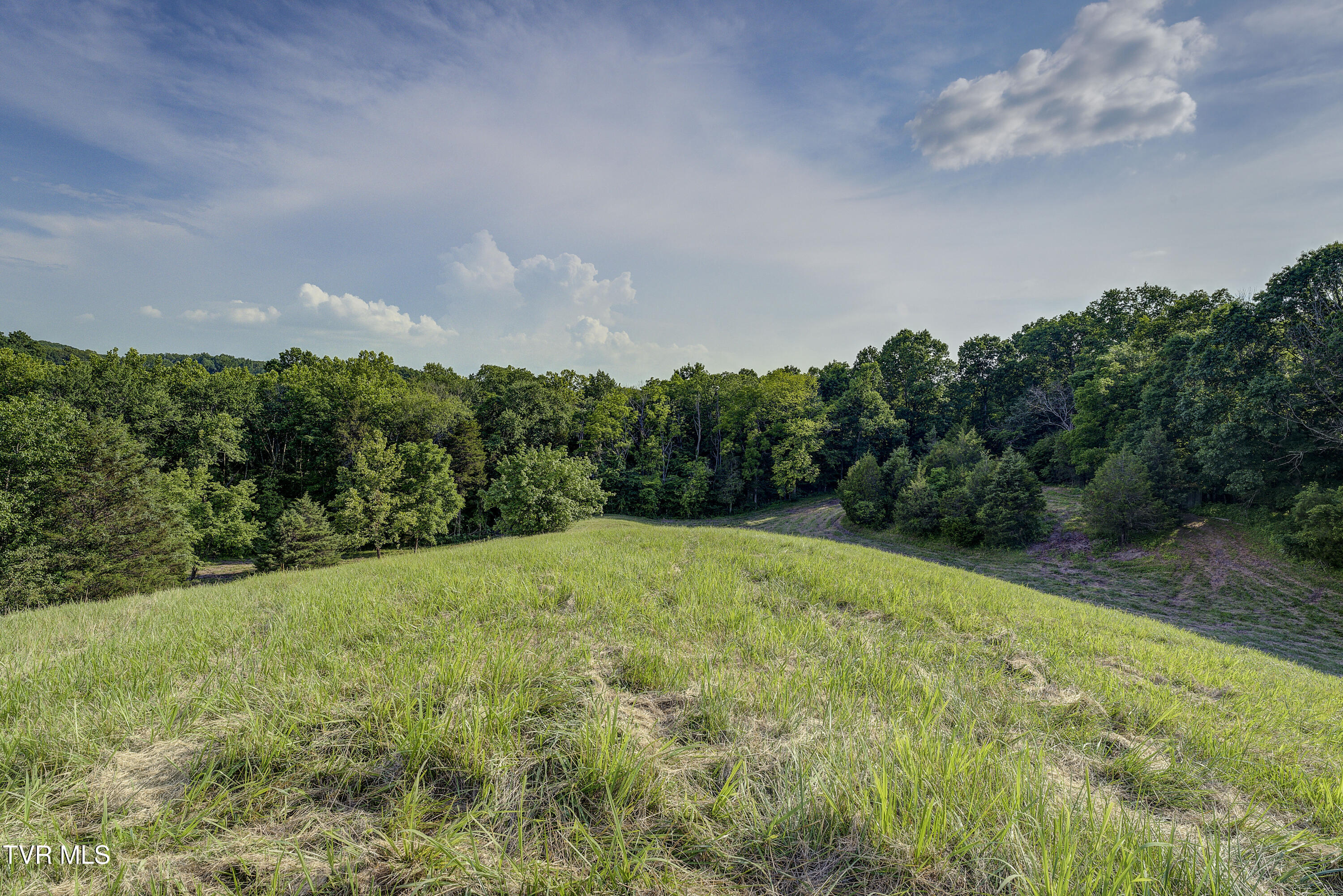 Piney Flats, Tennessee, 37686, United States, ,Land,For Sale,1983828
