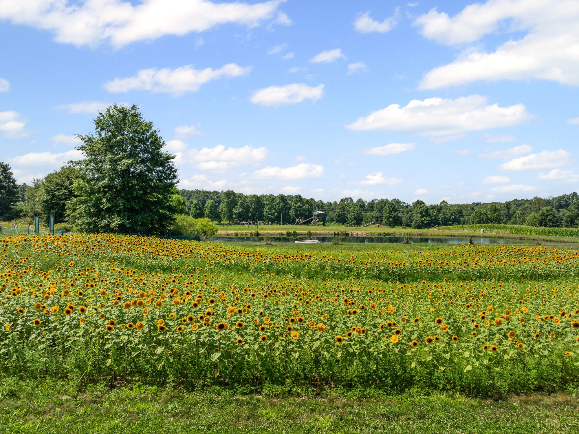  115-Acre Equestrian and Agritourism Estate in Grove City, Pennsylvania - 物件實景