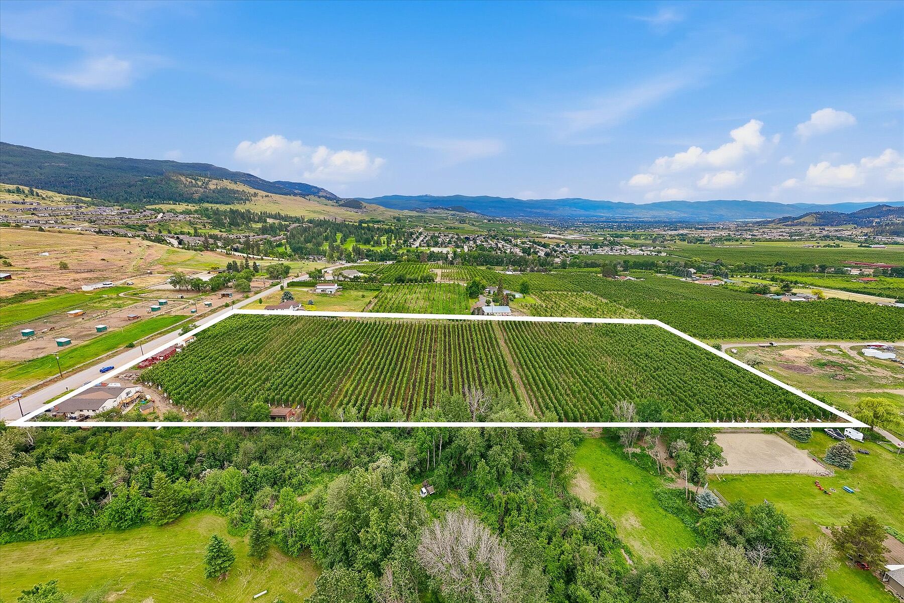  Ellison Acreage - 物件實景