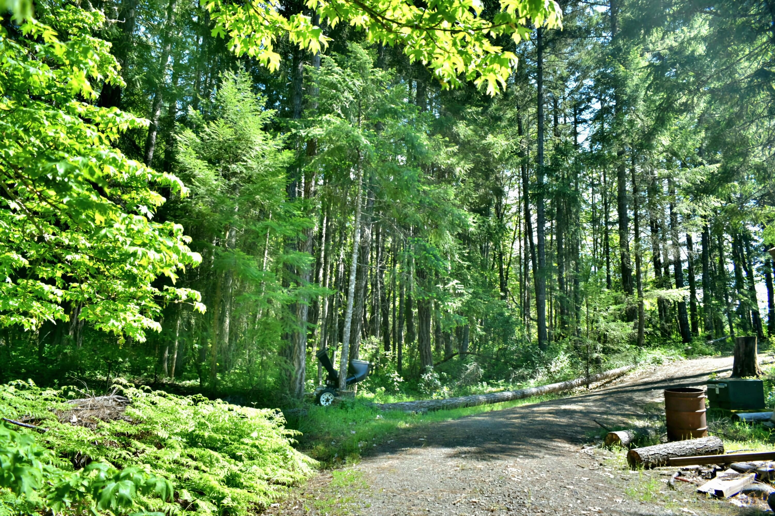 Cave Junction, Oregon, 97523, United States, 3 Bedrooms Bedrooms, ,3 BathroomsBathrooms,Residential,For Sale,1975674