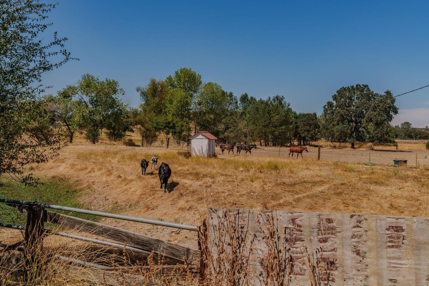 Valley Springs, California, 95252, United States, 3 Bedrooms Bedrooms, ,2 BathroomsBathrooms,Residential,For Sale,1979453