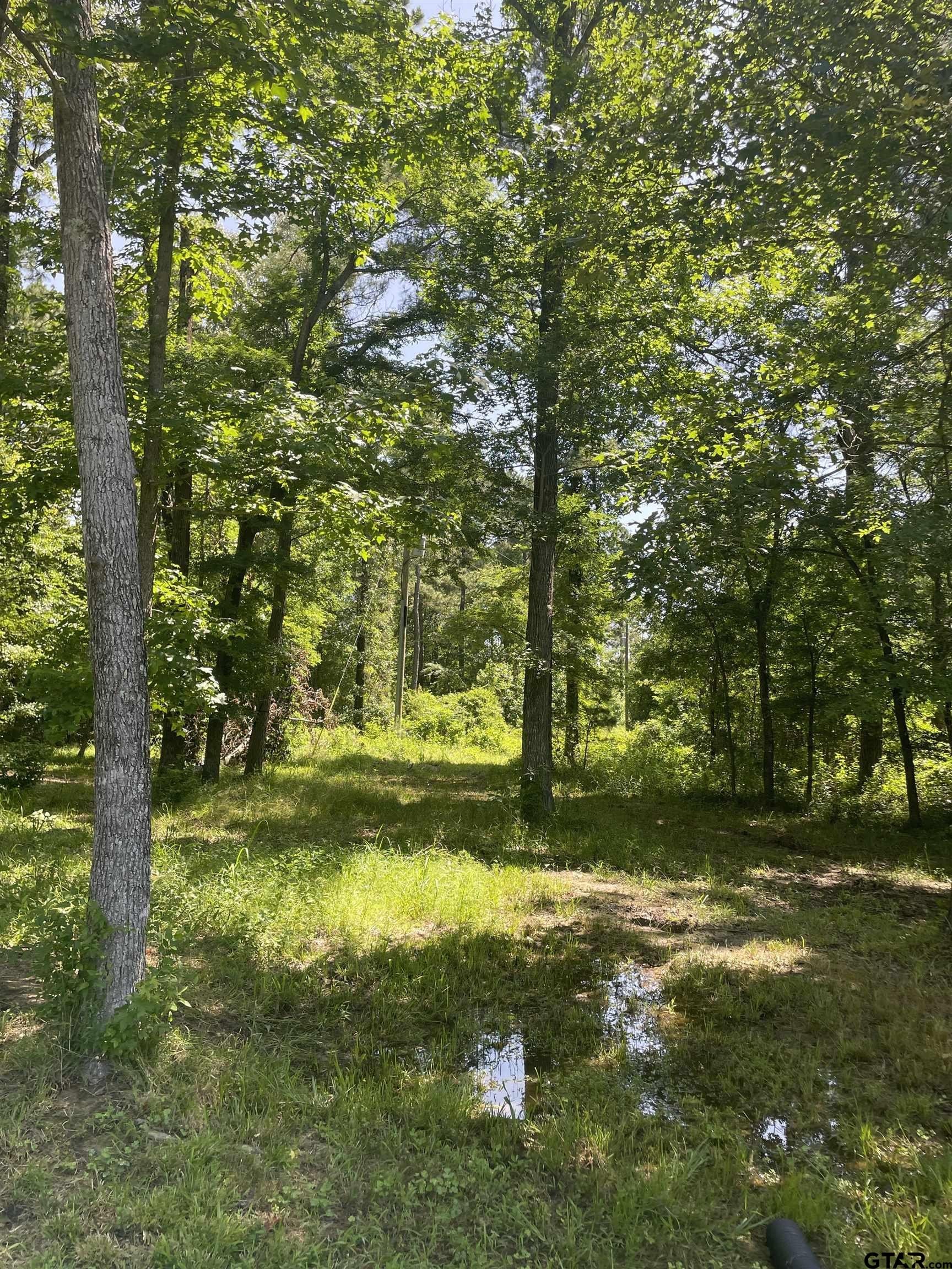 Pittsburg, Texas, 75686, United States, 3 Bedrooms Bedrooms, ,3 BathroomsBathrooms,Residential,For Sale,1982891