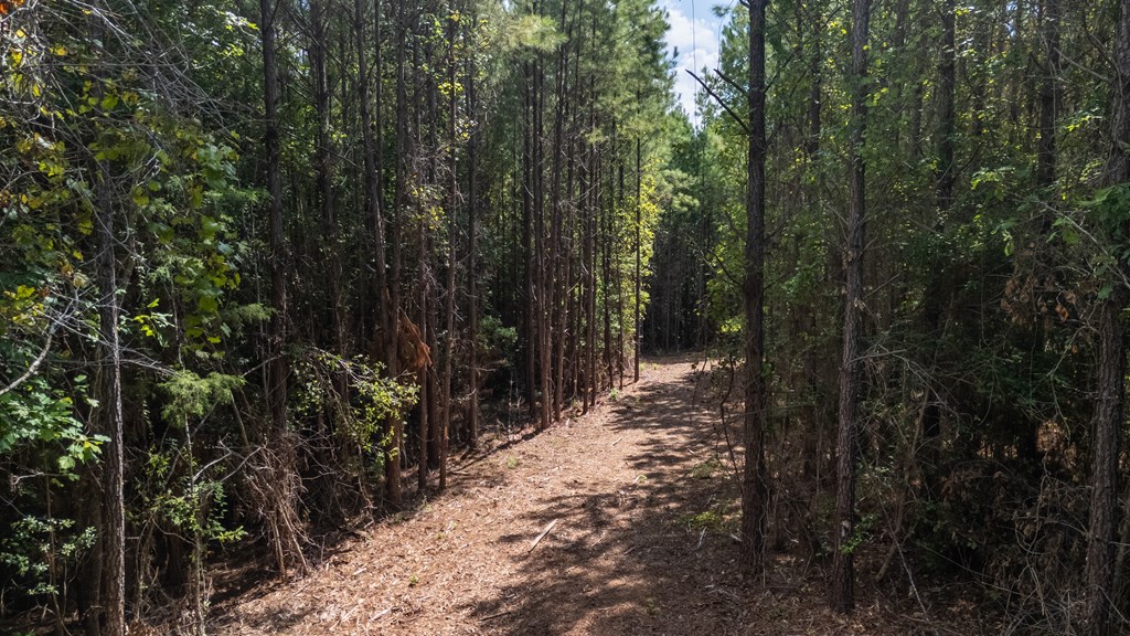 Hamilton, Georgia, 31811, United States, ,Land,For Sale,1919731