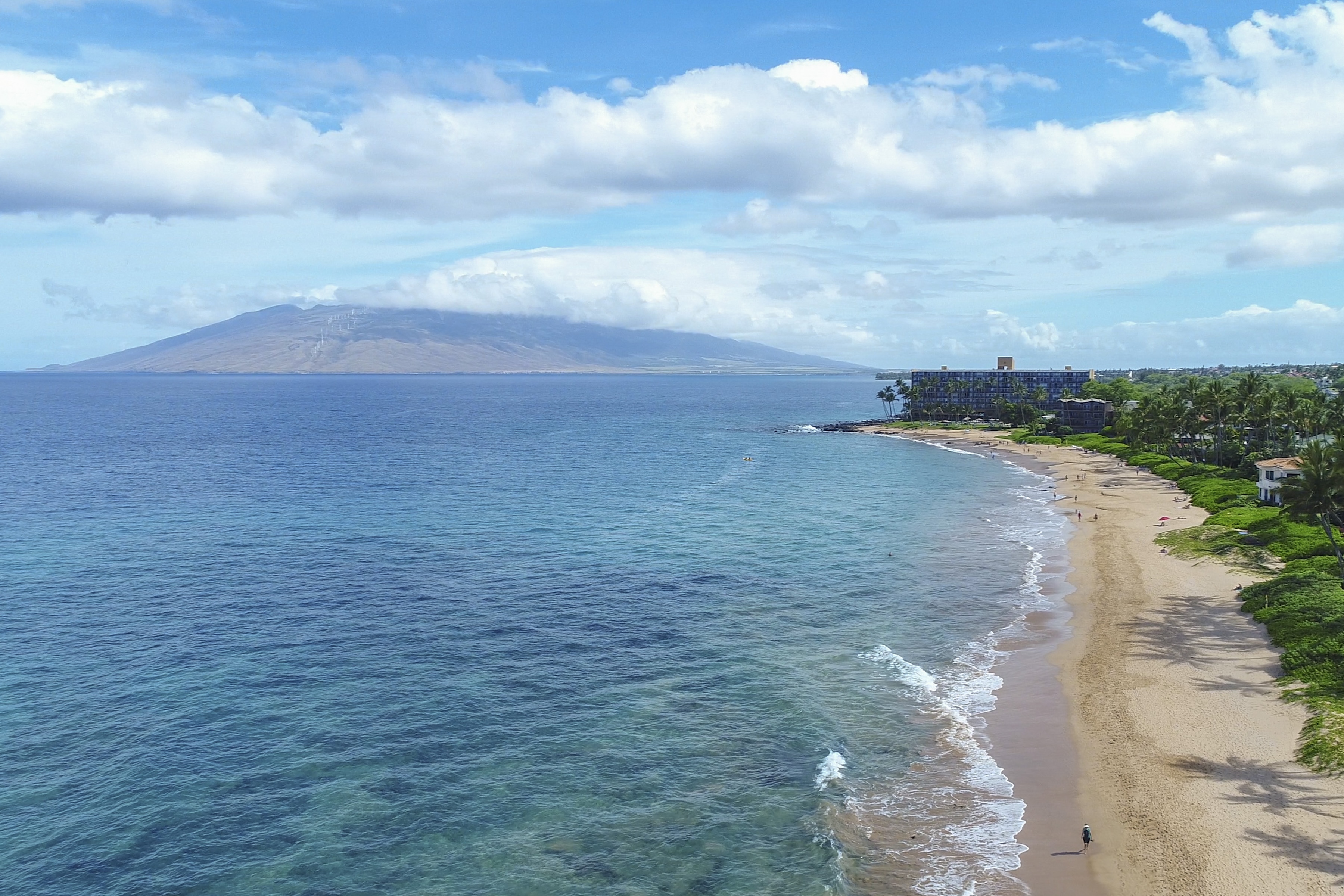  Maui Meadows Cozy 2-bedroom, 1-bathroom, 1/2 Acre Cottage - 物件實景