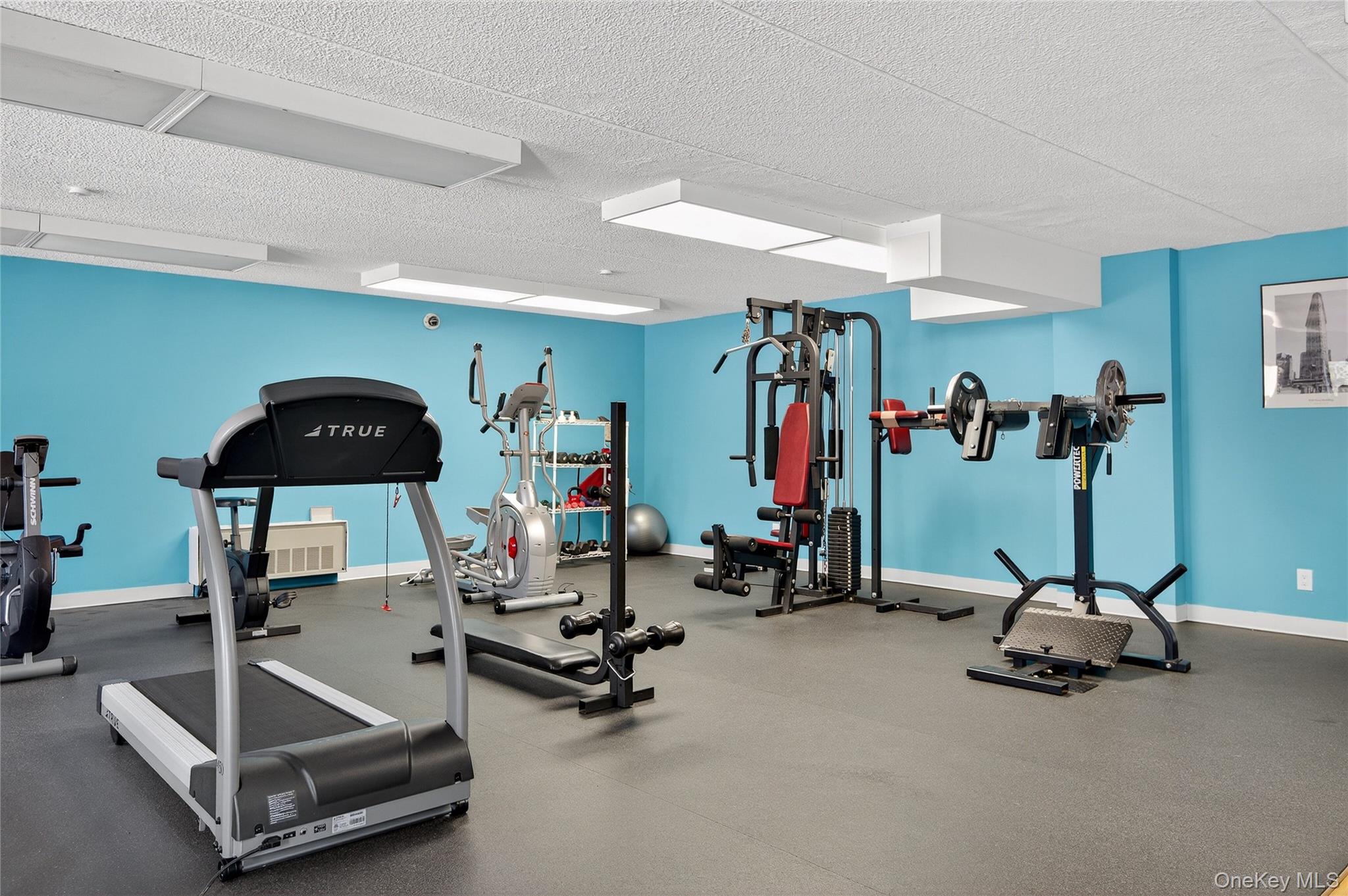  175 Maple Avenue, Westbury, NY, 11590 - 物件實景