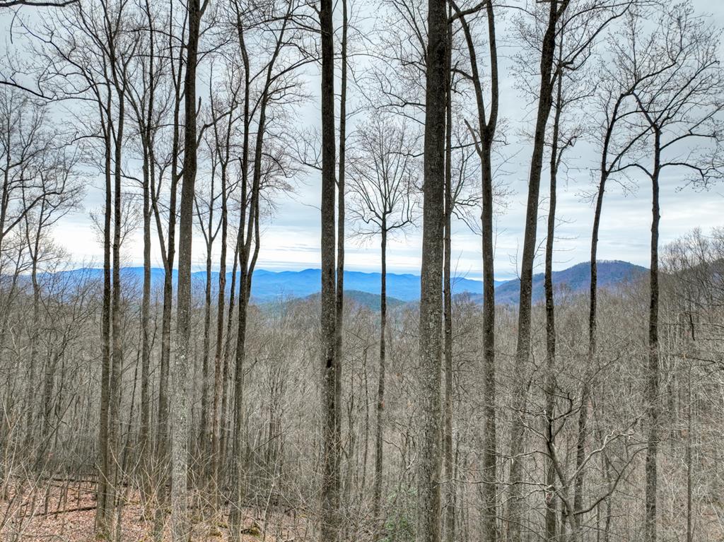 Ellijay, Georgia, 30536, United States, 4 Bedrooms Bedrooms, ,3 BathroomsBathrooms,Residential,For Sale,2003227