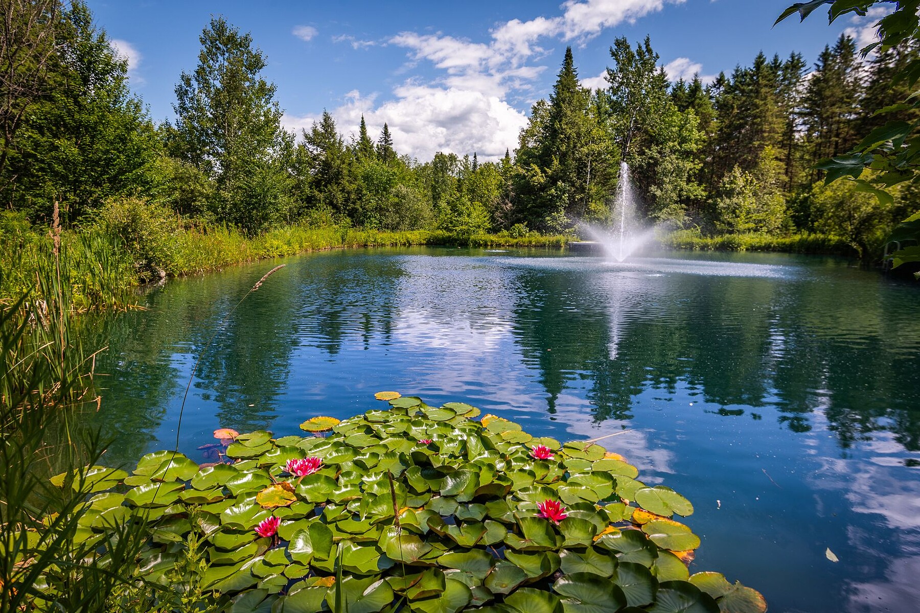  Bolton-Est, Eastern Townships - 物件實景