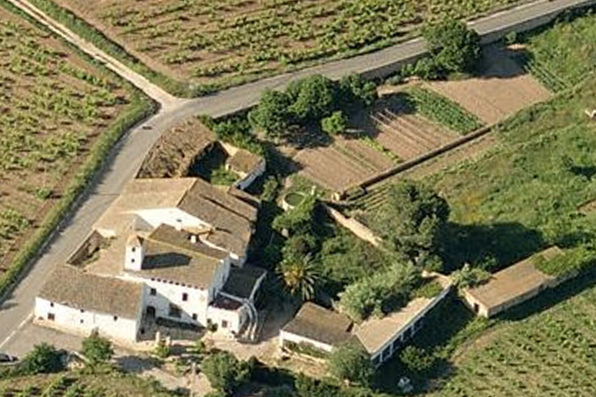  Masia with Vineyards and 3.13 Hectares in Vilanova i la Geltrú - 物件實景