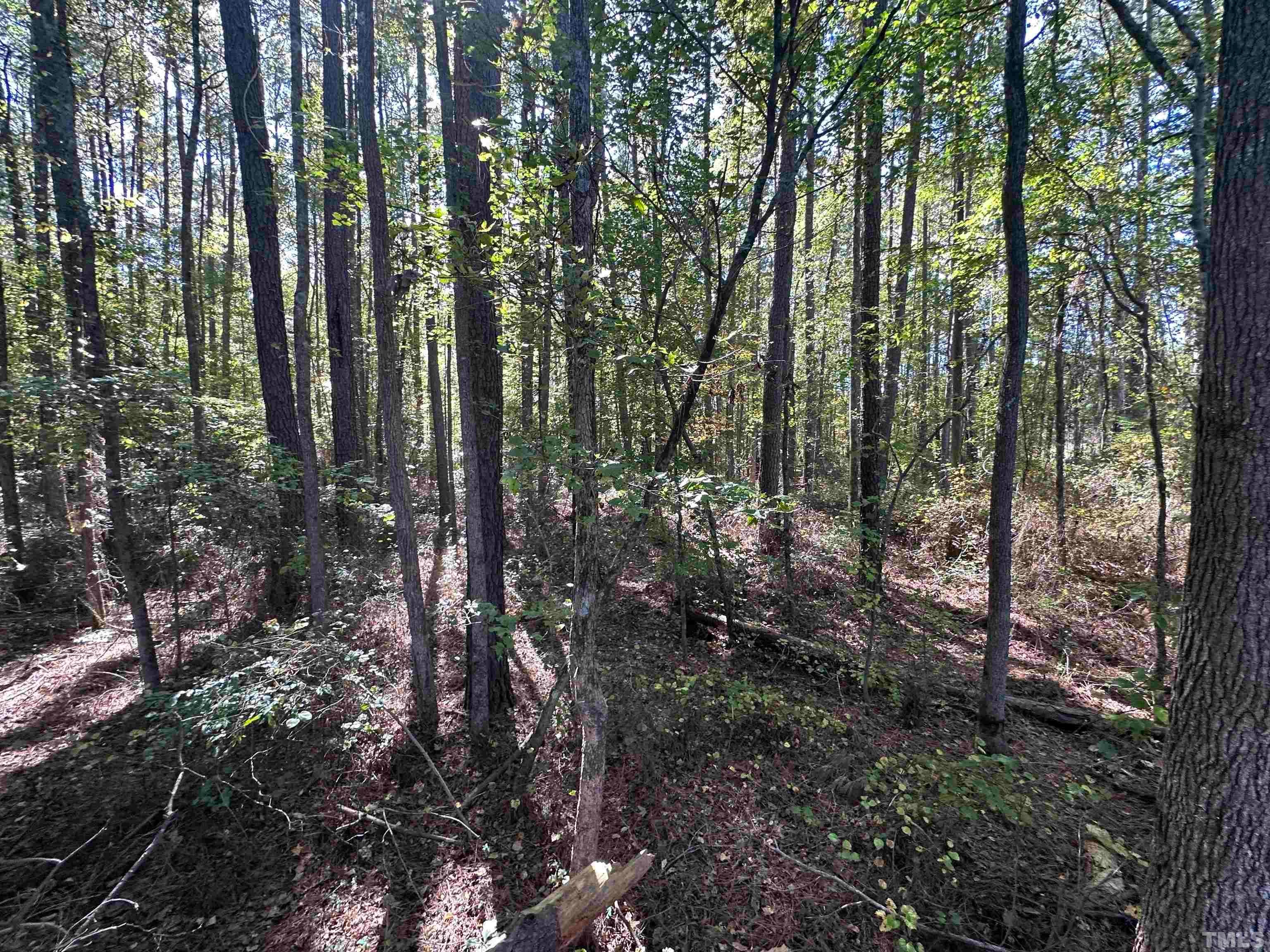 8017 Farrington Mill Road, Chapel Hill, North Carolina, 27517, United States, ,Land,For Sale,8017 Farrington Mill Road,1623508