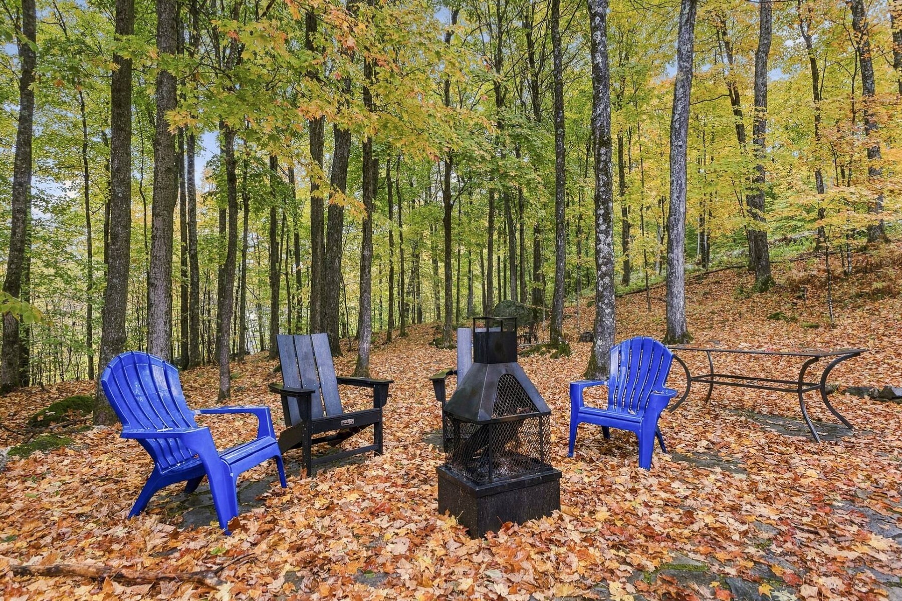  Mont-Tremblant, Laurentides - 物件實景