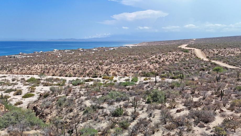Sin calle, El Jalito, Baja California Sur, 23232, Mexico, 1 Bedroom Bedrooms, ,Residential,For Sale,Sin calle,1652731
