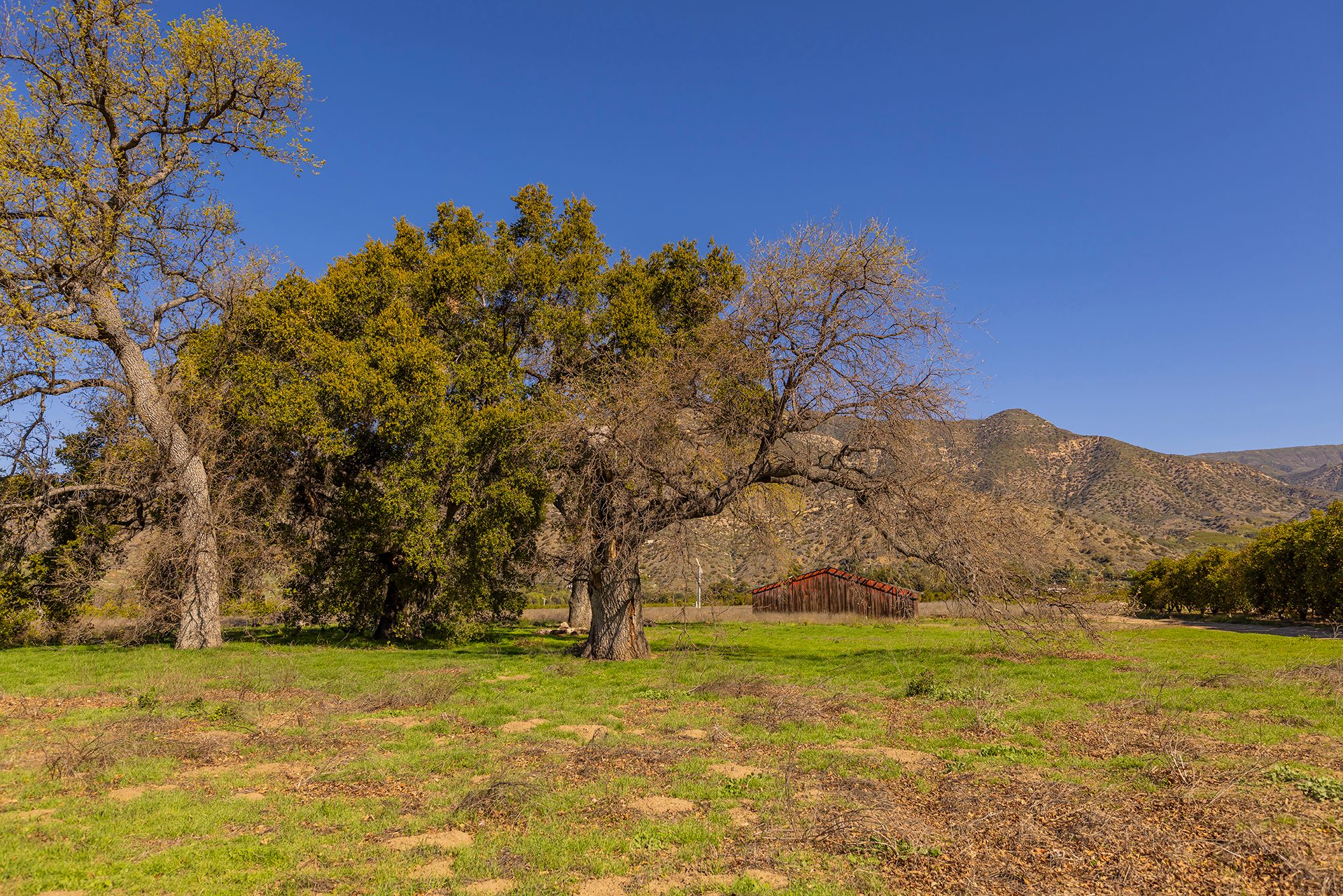  1201 Grand Avenue, Ojai, CA 93023 - 物件實景