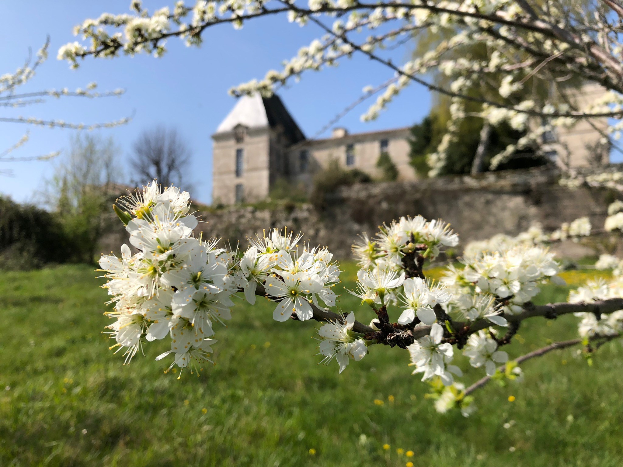  What if you bought the main part of a 17th-century castle - 物件實景