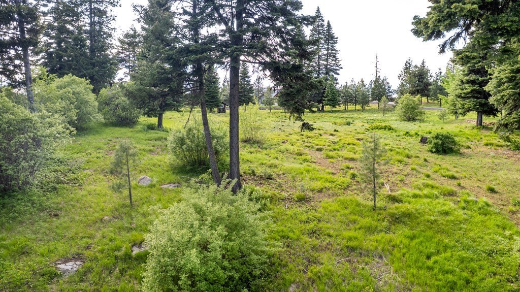 McCall, Idaho, 83638, United States, ,Residential,For Sale,1944832