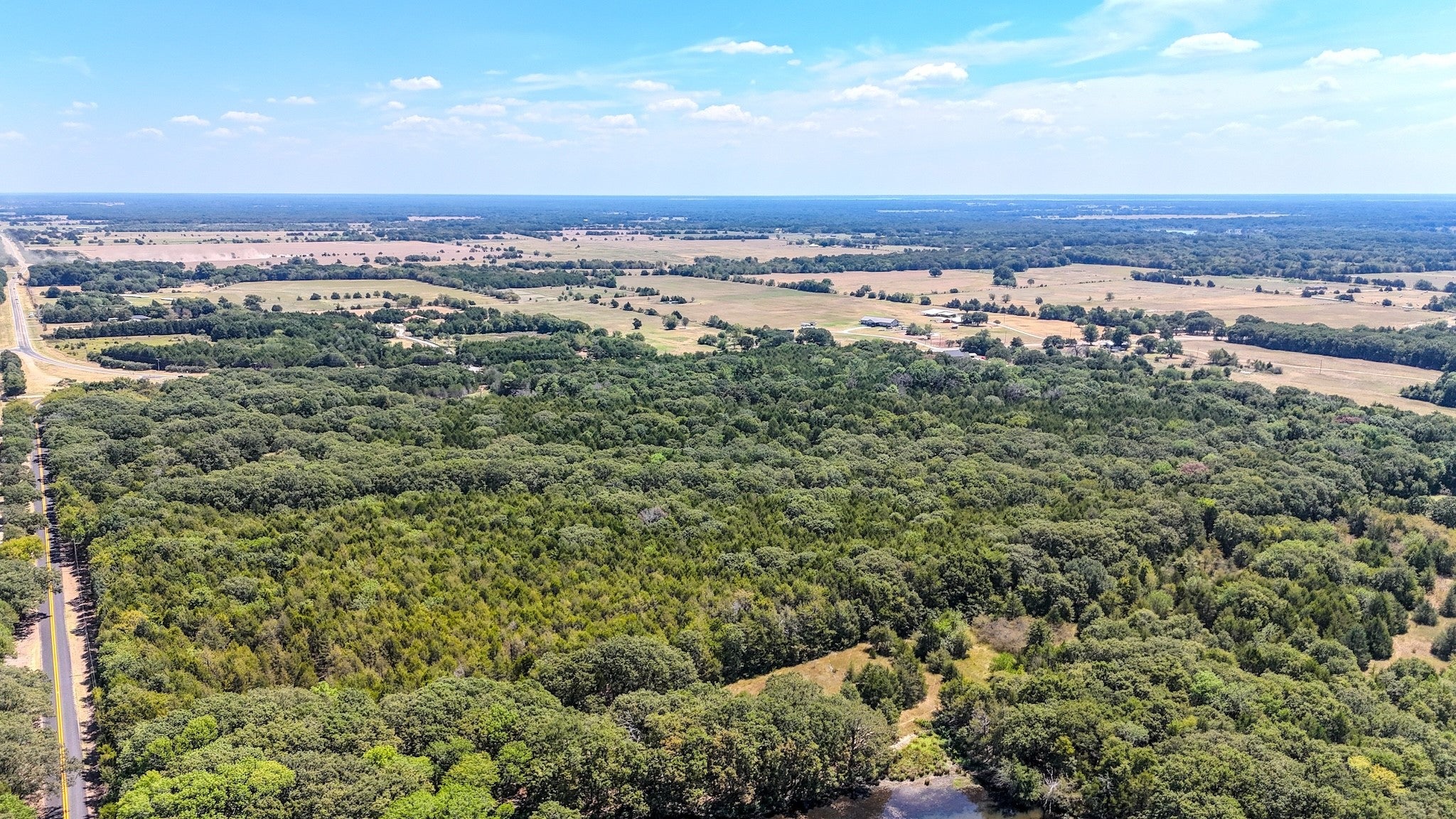 Ivanhoe, Texas, 75447, United States, ,Land,For Sale,1973742