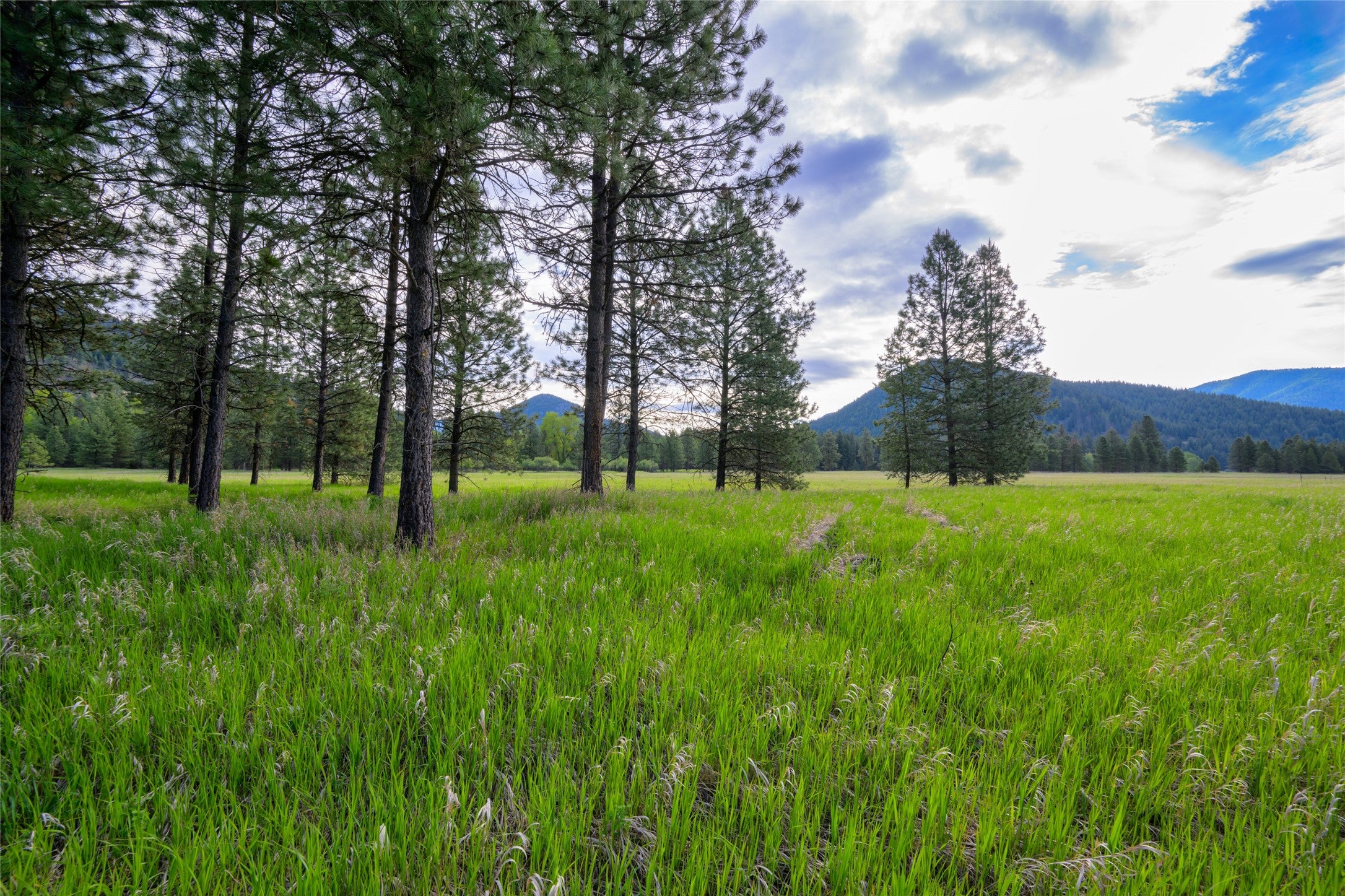 St Regis, Montana, 59866, United States, ,Land,For Sale,1848990